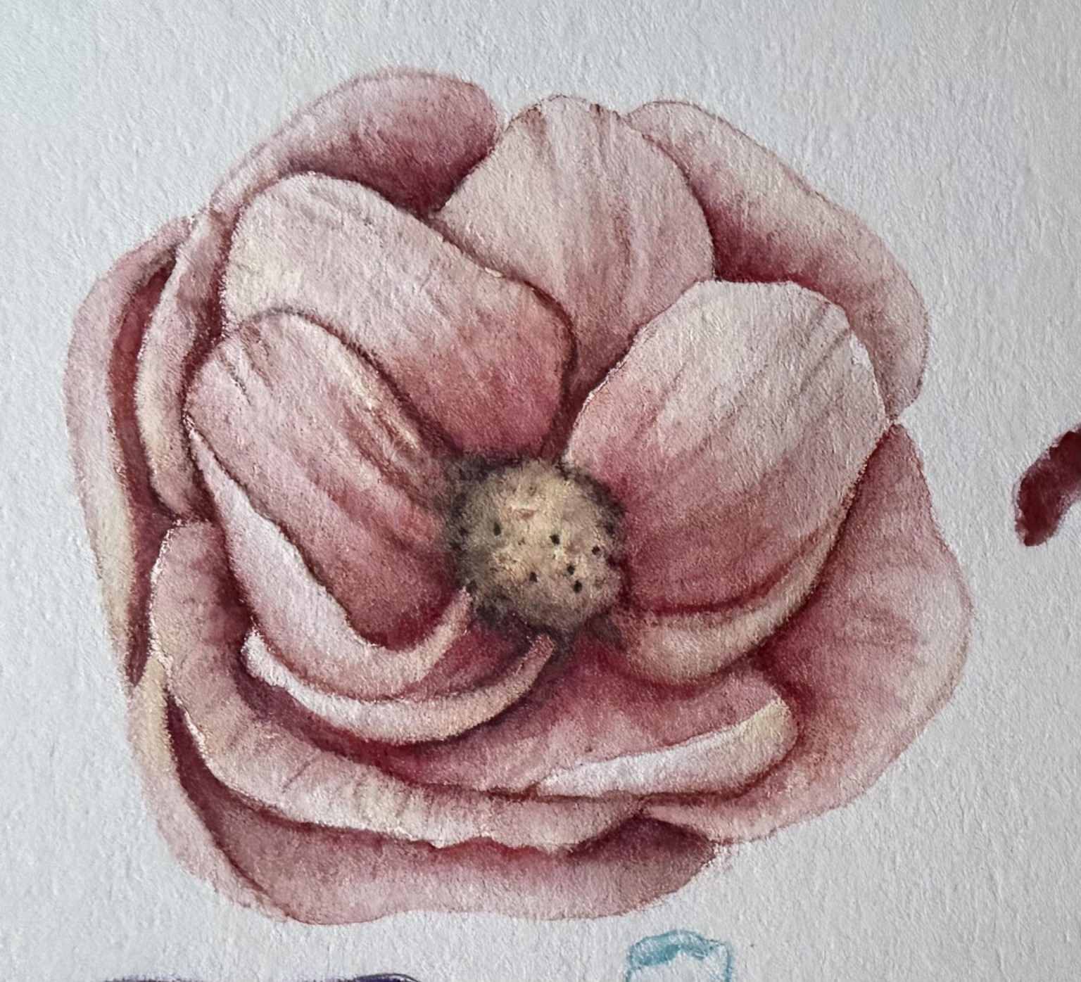 Watercolor Pencils ~ Fantastic Class 🩵 - image 5 - student project