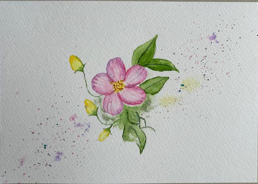 Wildflowers in watercolors - image 2 - student project
