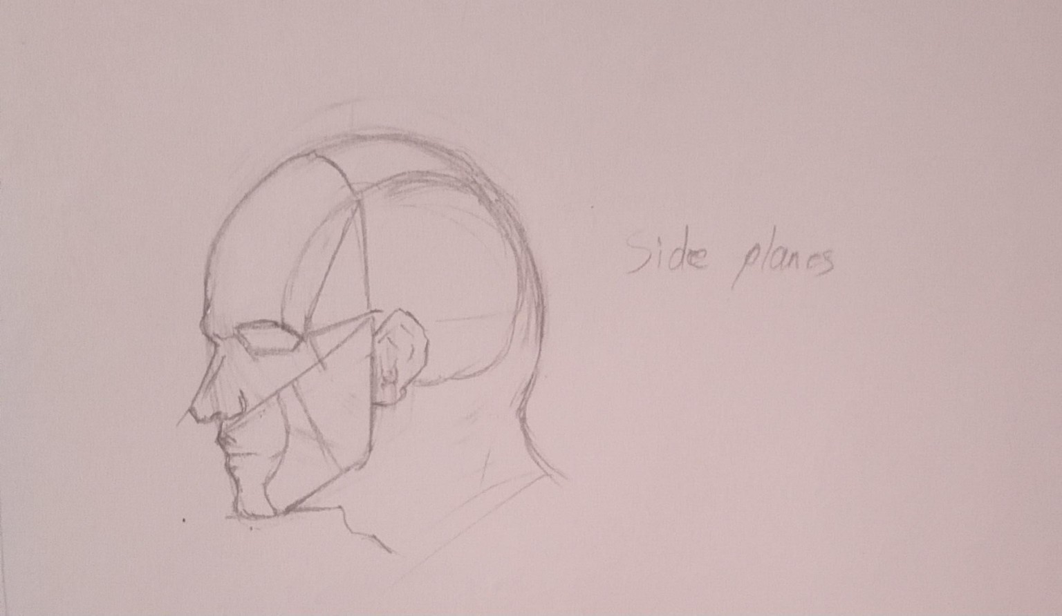Planes of head - image 2 - student project