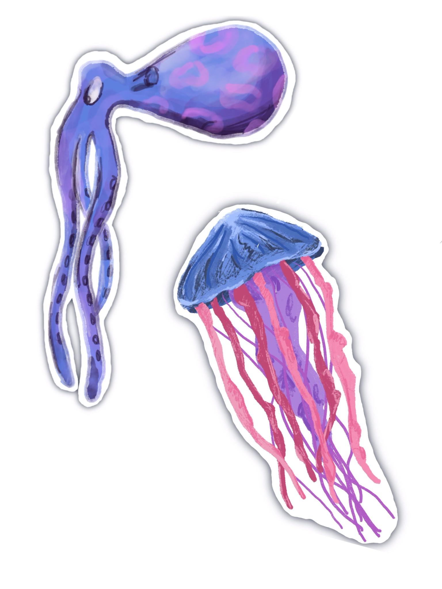 Marine life - image 1 - student project