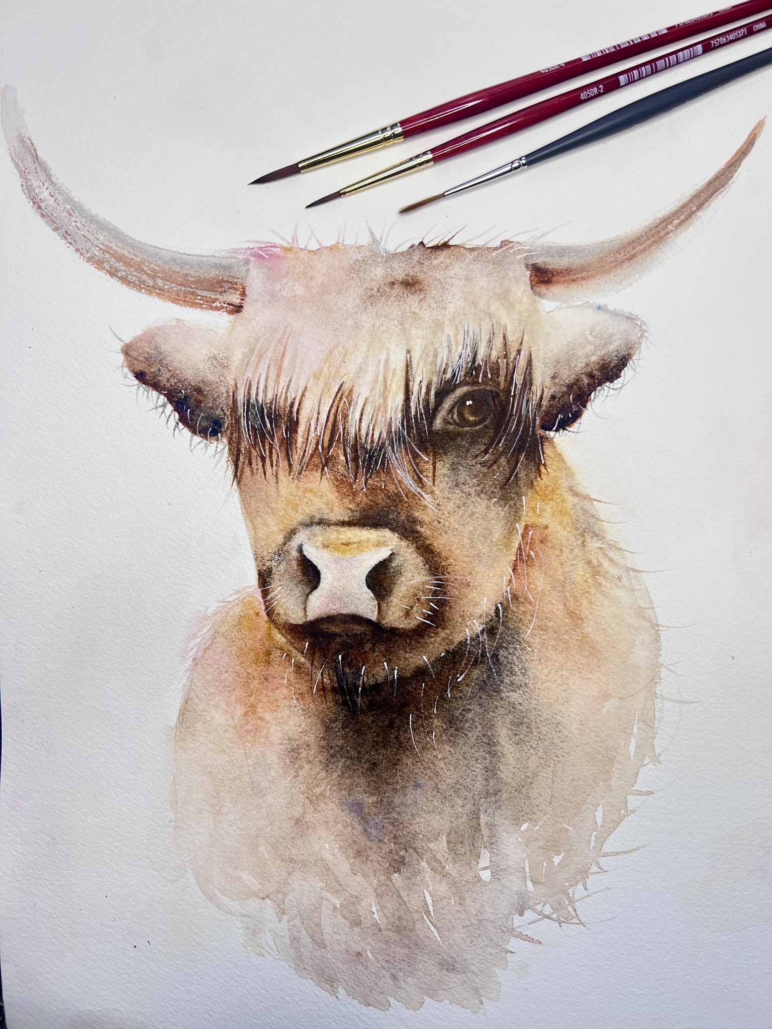 My cow - image 2 - student project