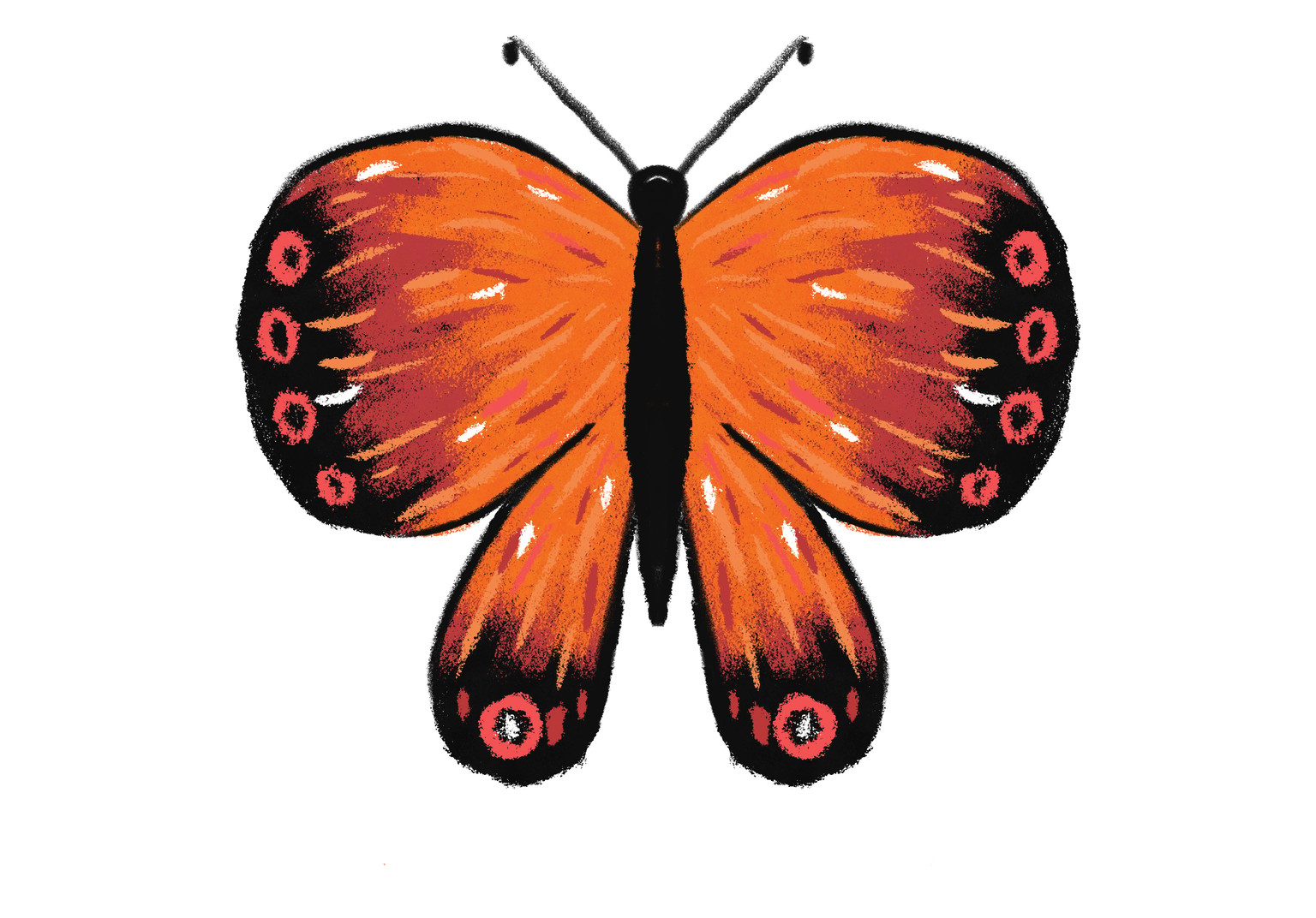 Butterflies from this class - image 2 - student project