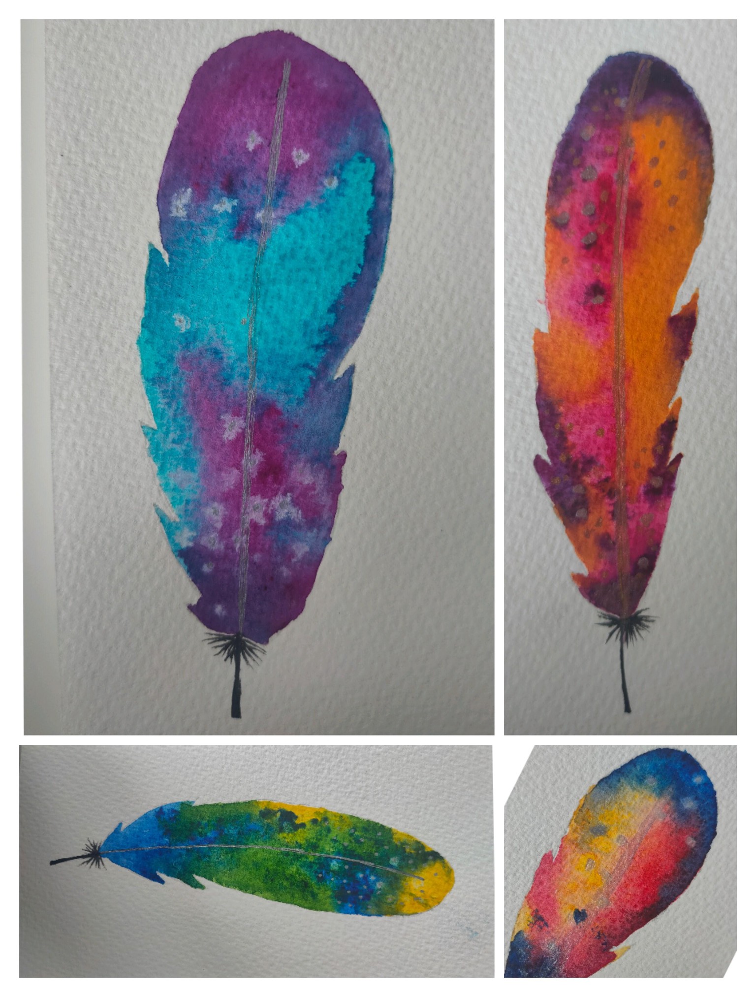Colourful Feathers - image 1 - student project
