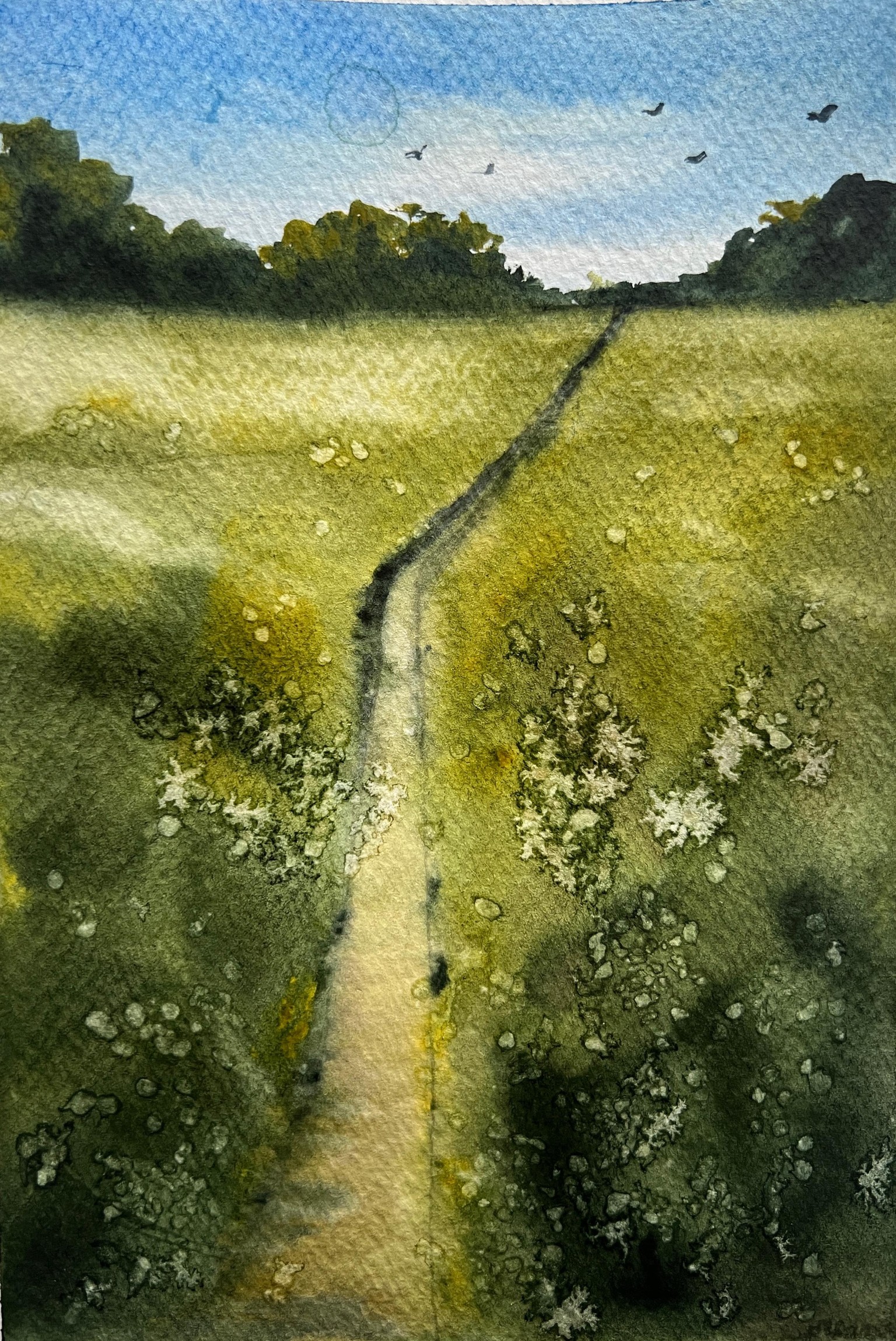 Spring landscapes with watercolor - image 1 - student project