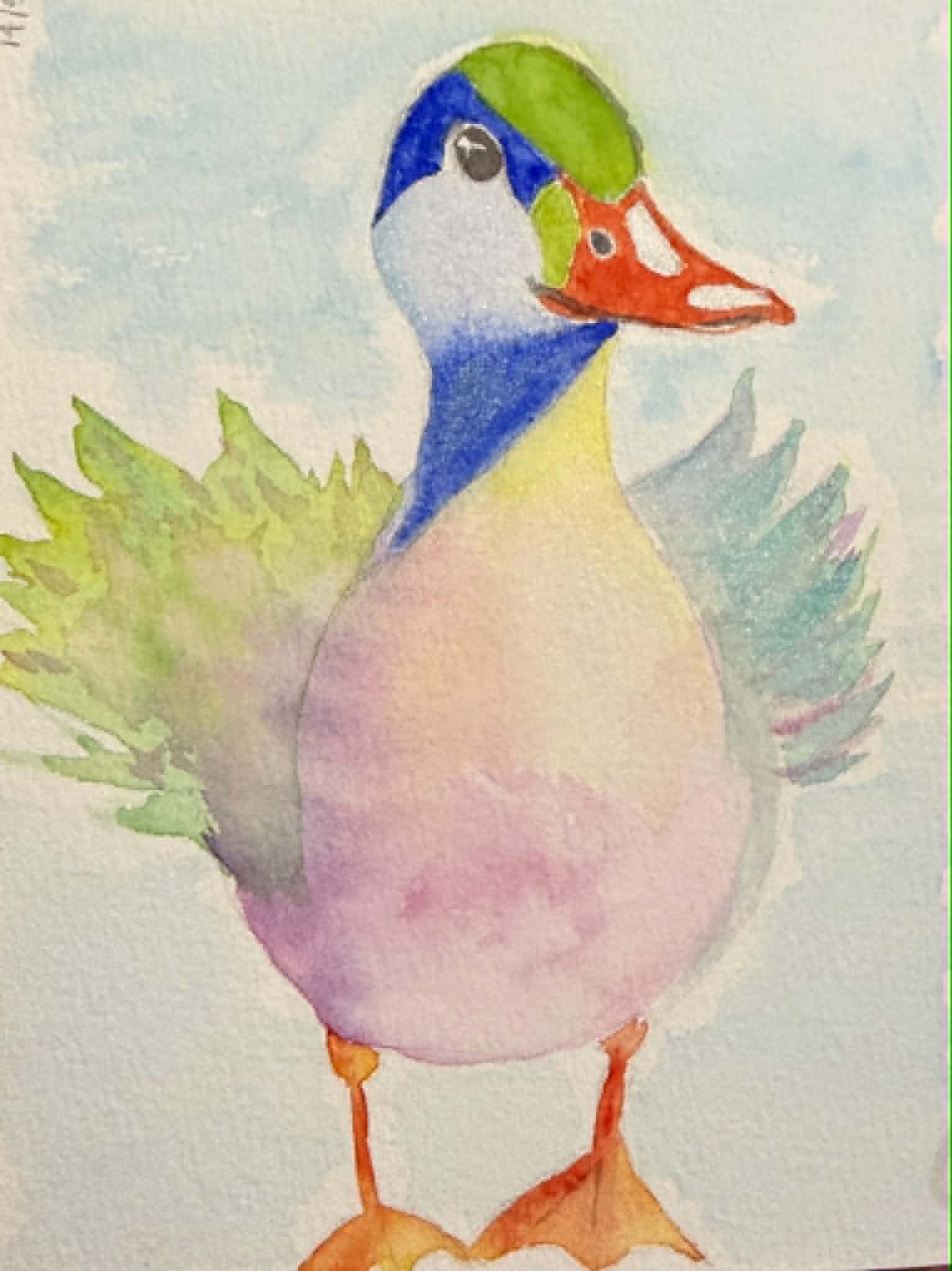 Mallard Duck - image 2 - student project