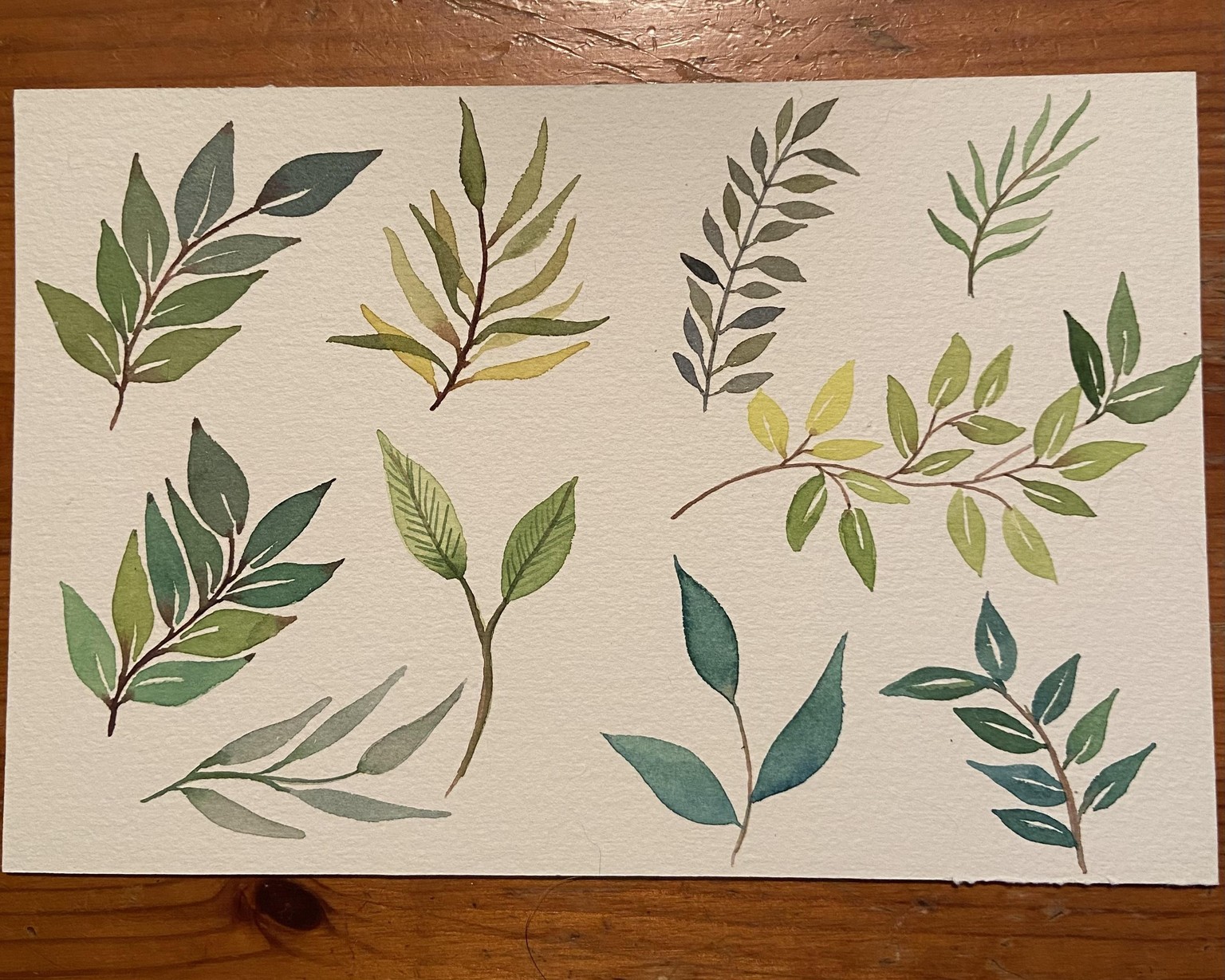 Watercolor Greenery: Leaves - image 3 - student project