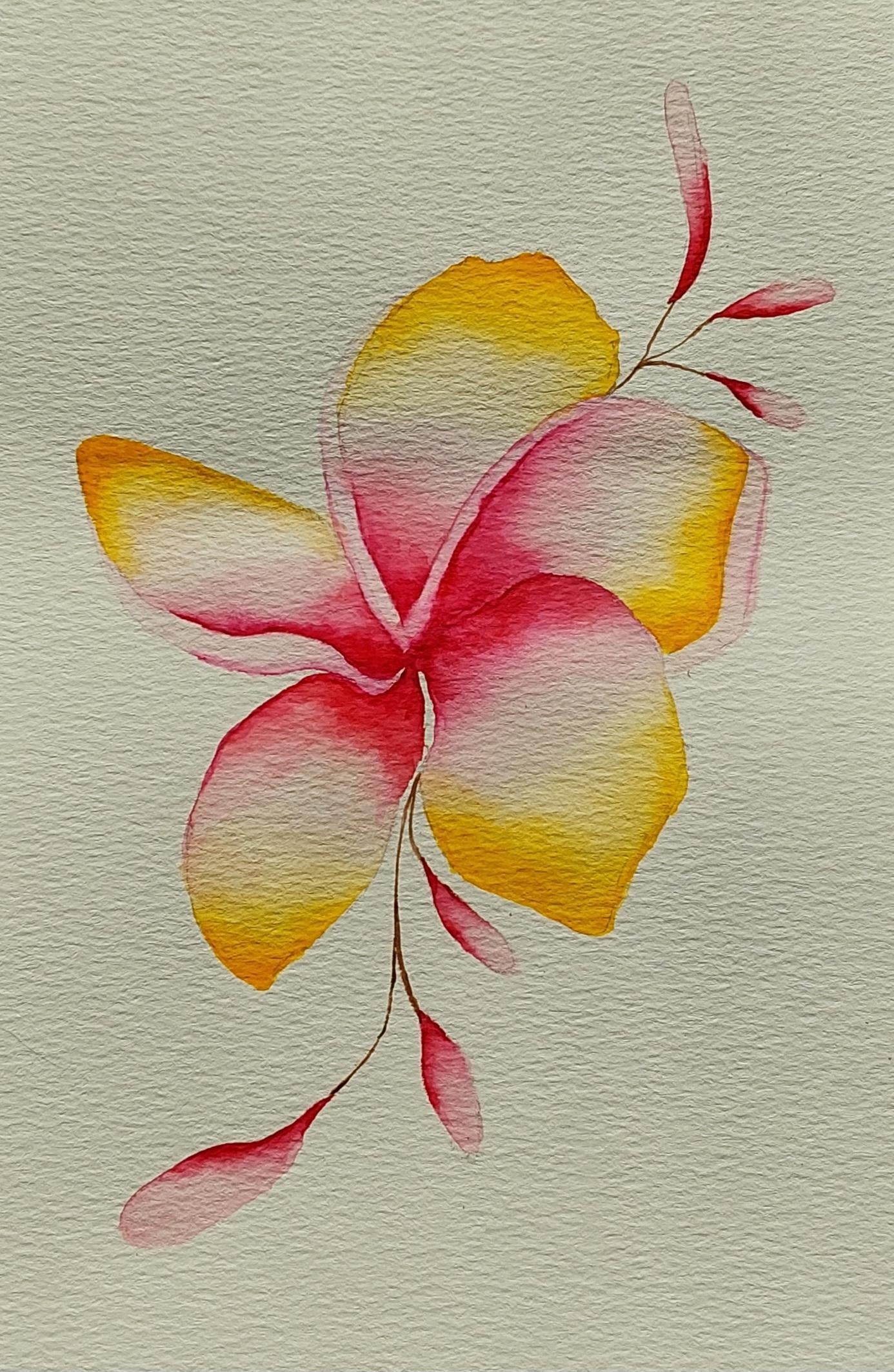 Tropical time! - image 2 - student project