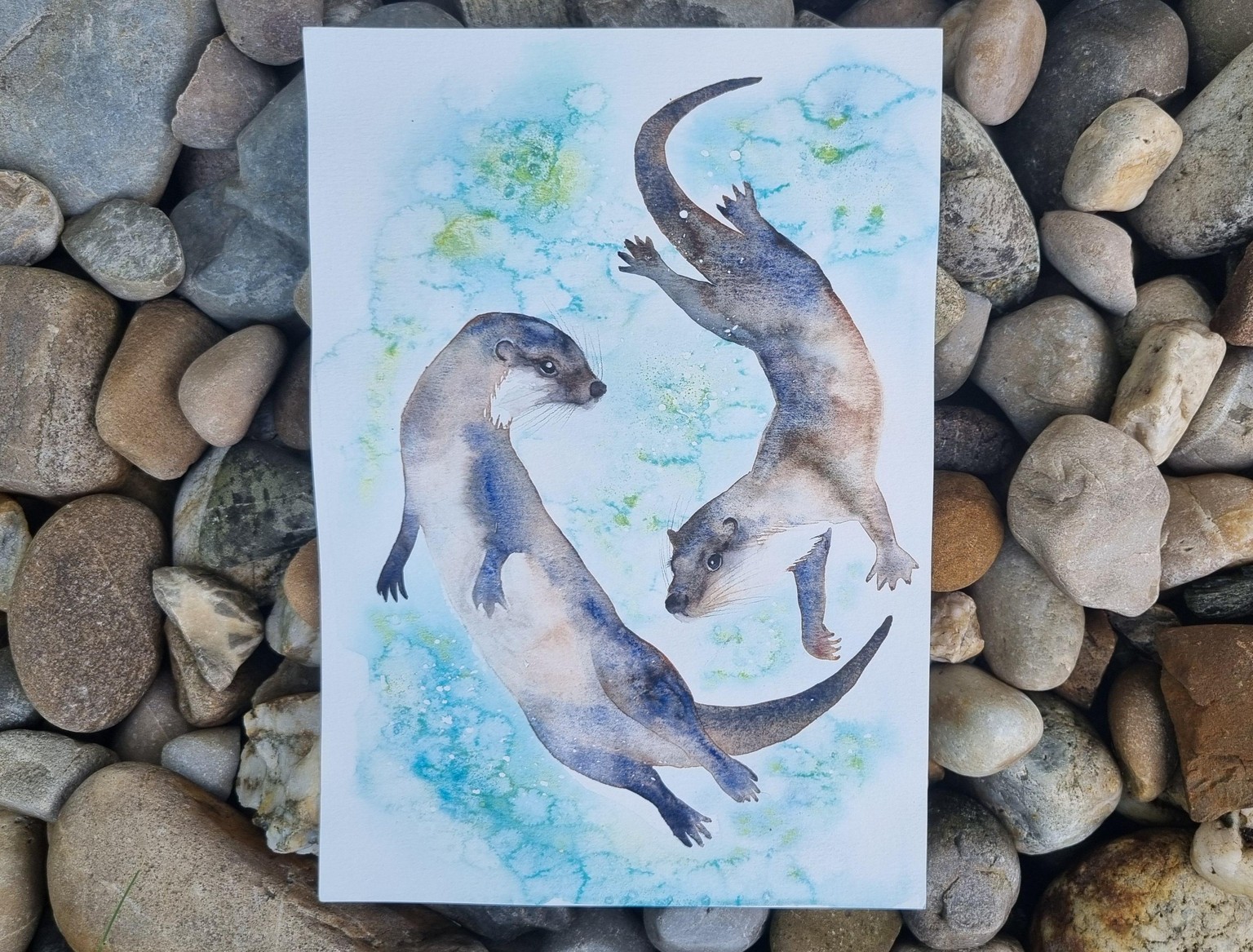 Otter - image 2 - student project