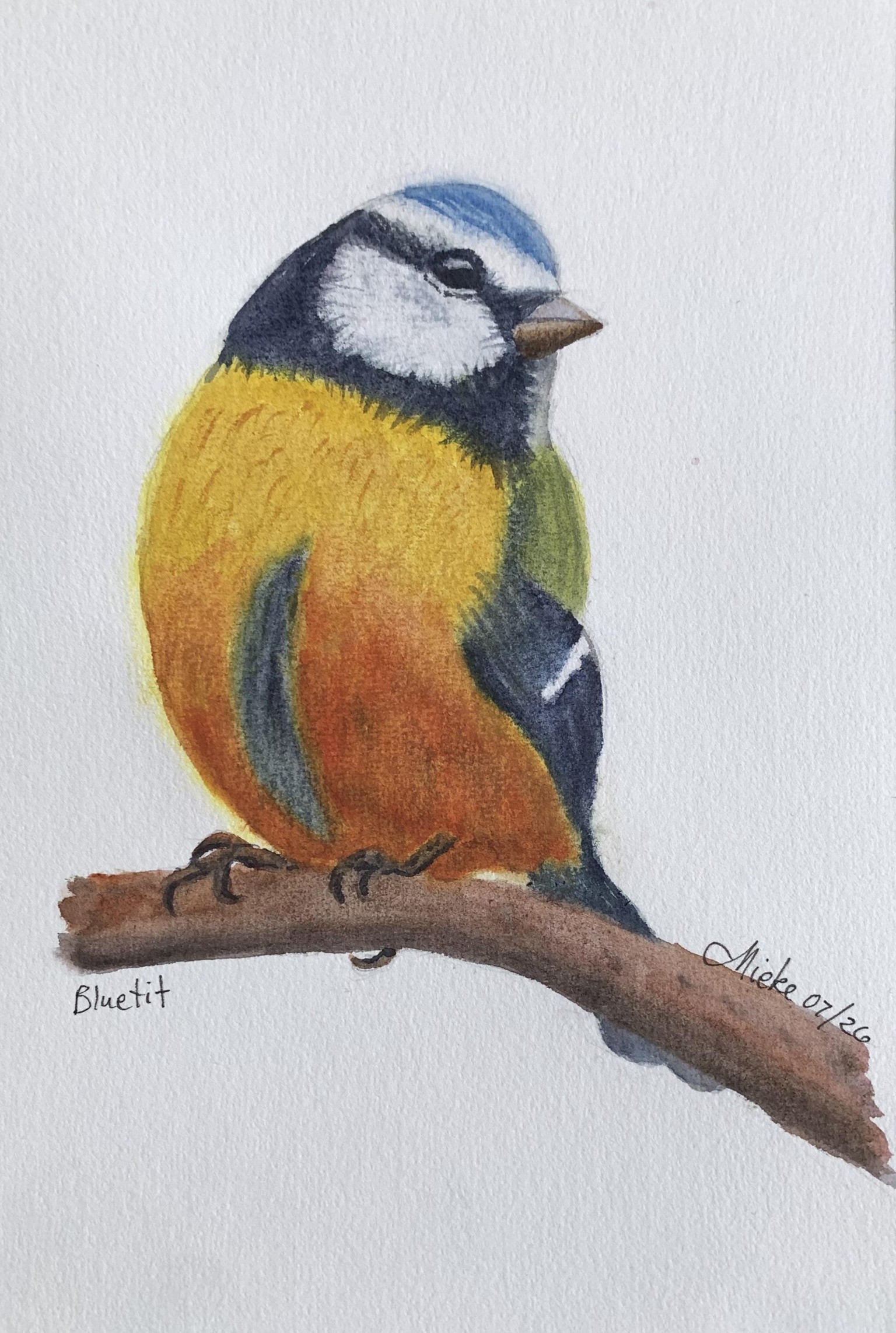 Watercolour birds - wet on wet - image 5 - student project