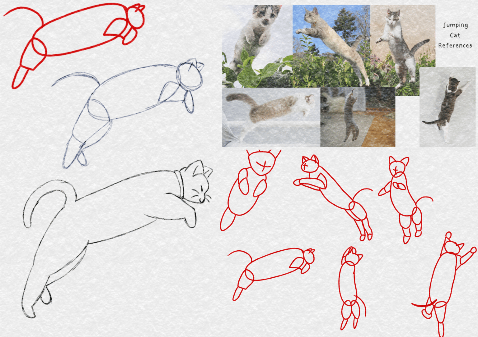 Jumping Cat :3 - image 1 - student project