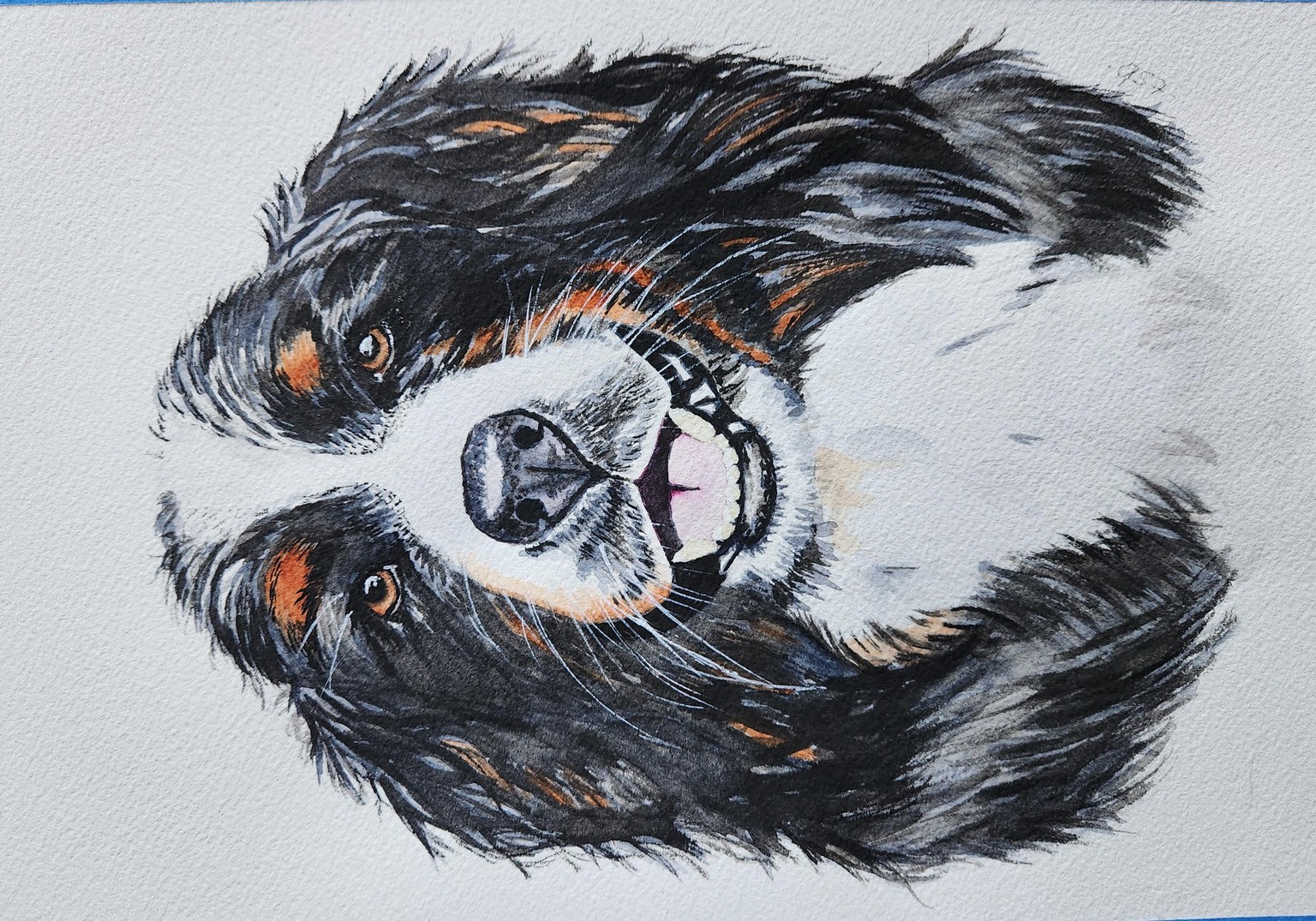 Bernie - image 1 - student project