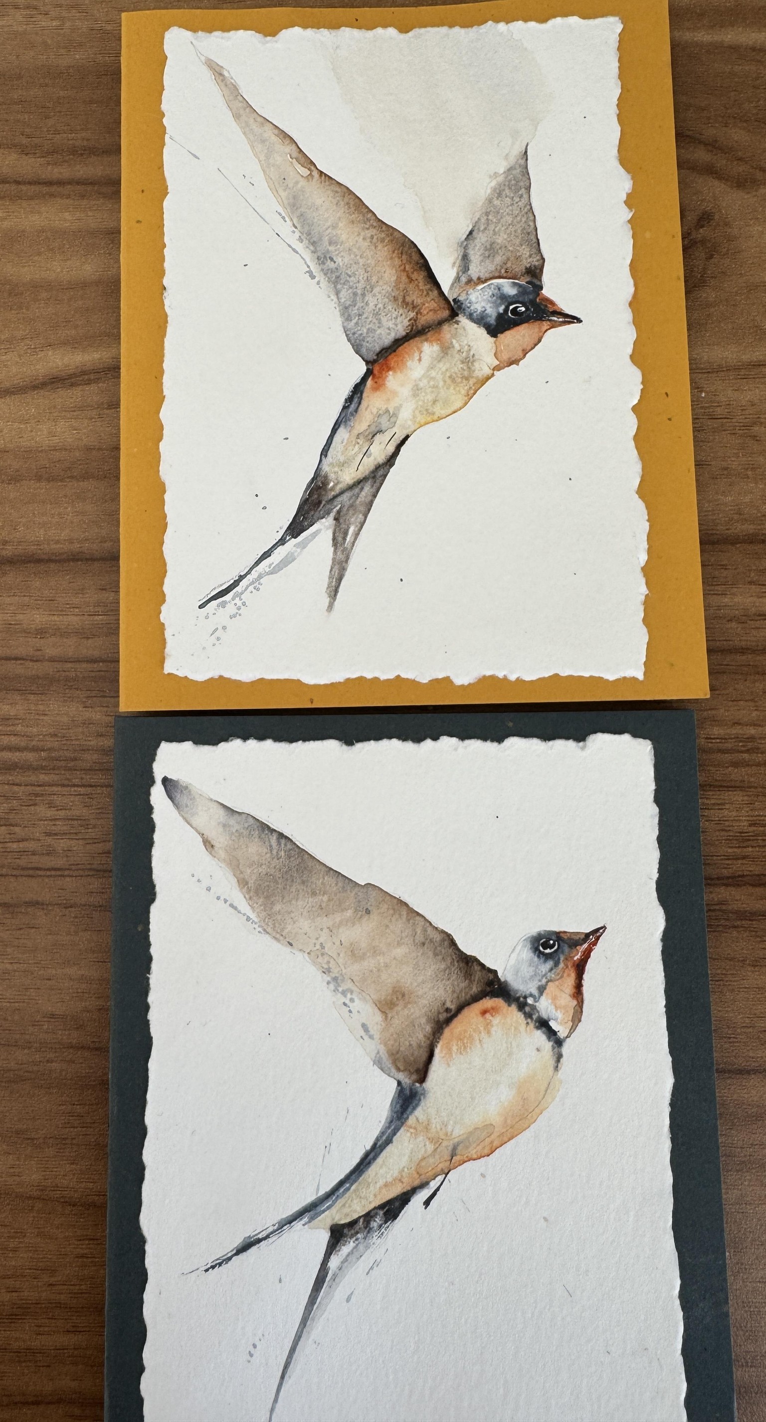 Spring Swallows - image 1 - student project
