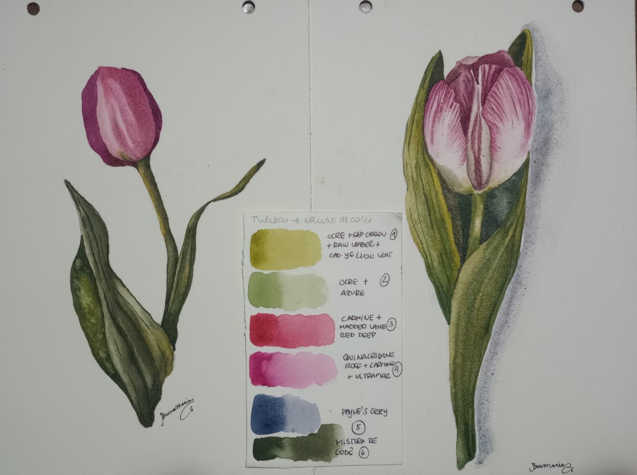 TULIPAS EM AQUARELA - image 4 - student project