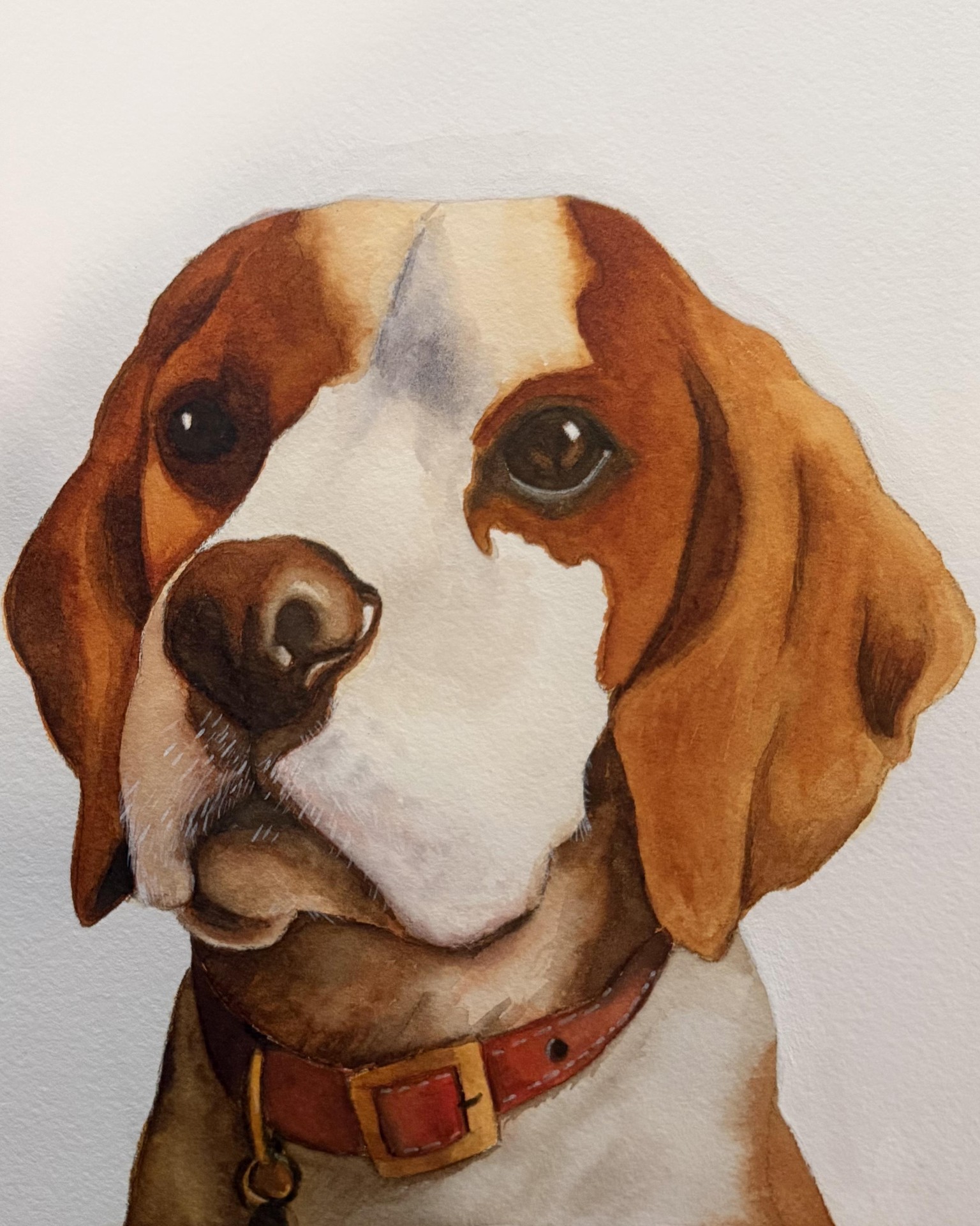 Pet Portrait - image 1 - student project