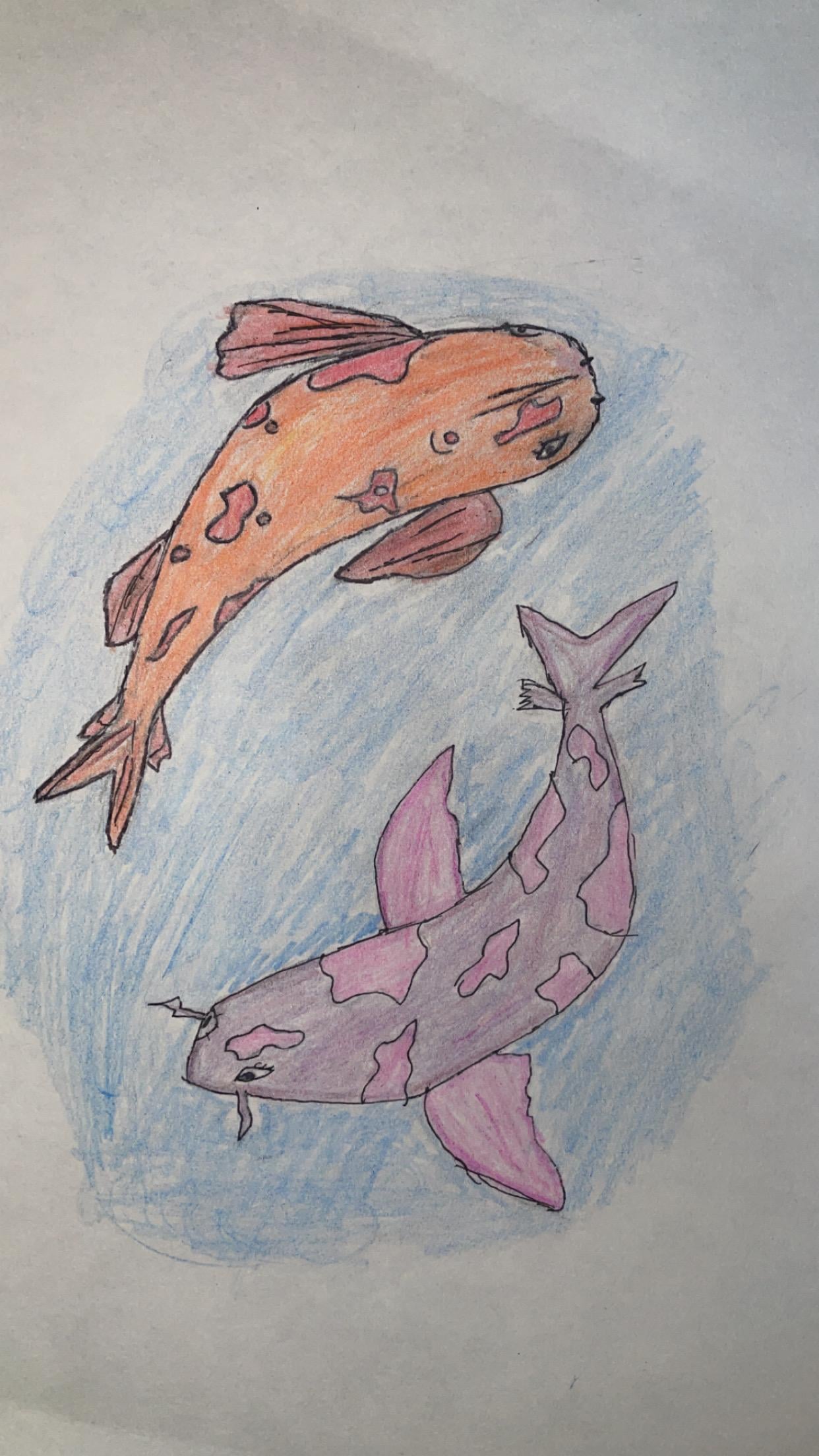 colored pencil drawing of two Koi fish swimming in balance I used orange purple and pink , blue - image 1 - student project
