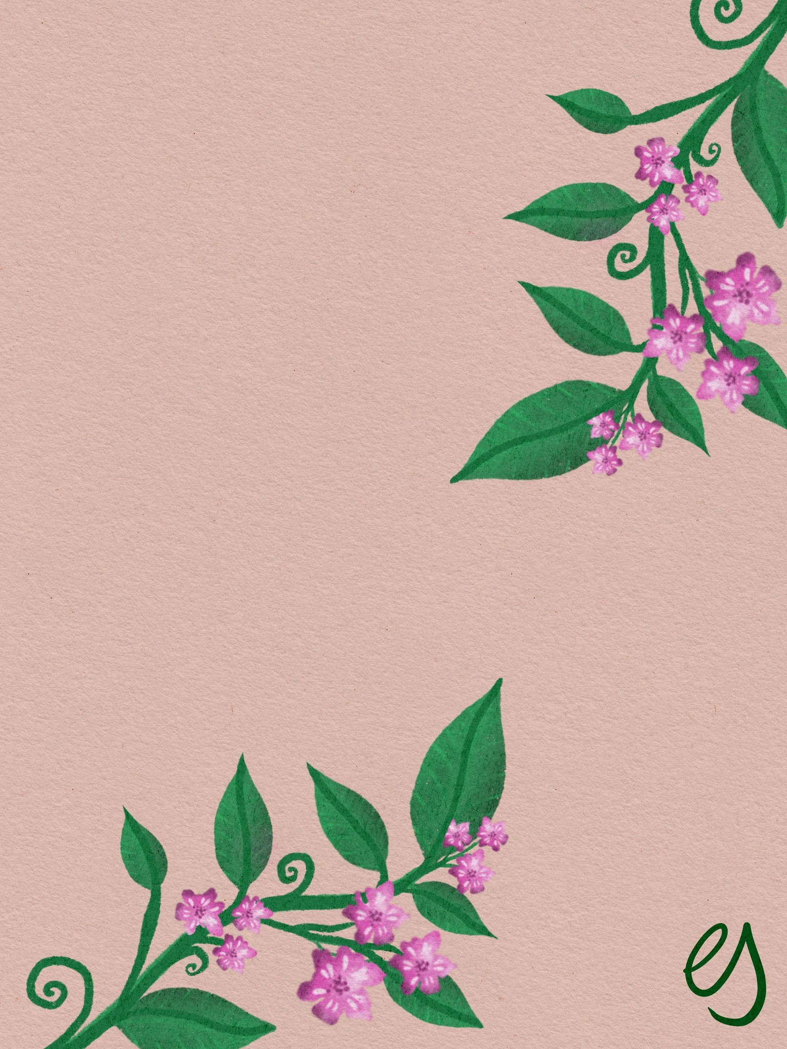 Botanical Illustration - image 1 - student project