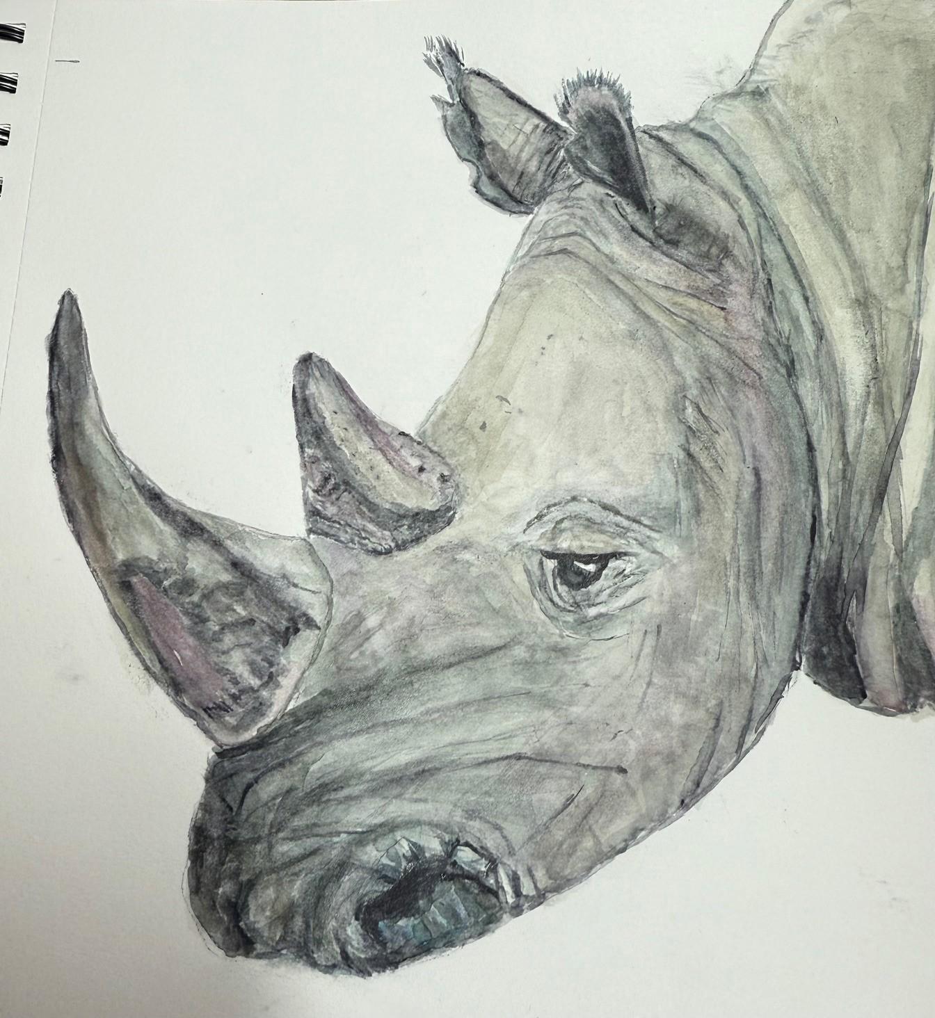 Rhino - image 1 - student project