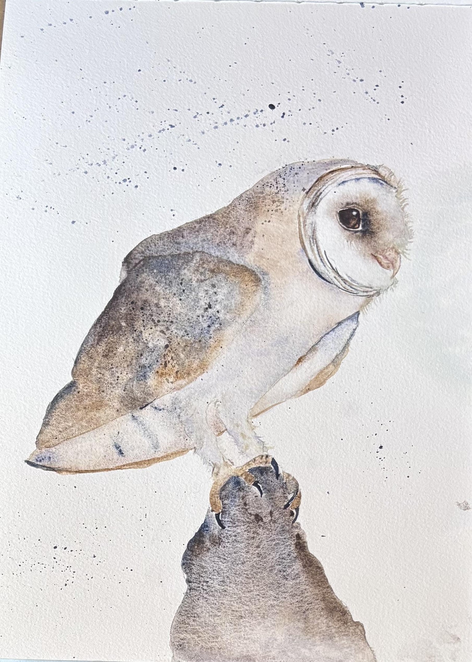 Wesley the Owl - image 1 - student project
