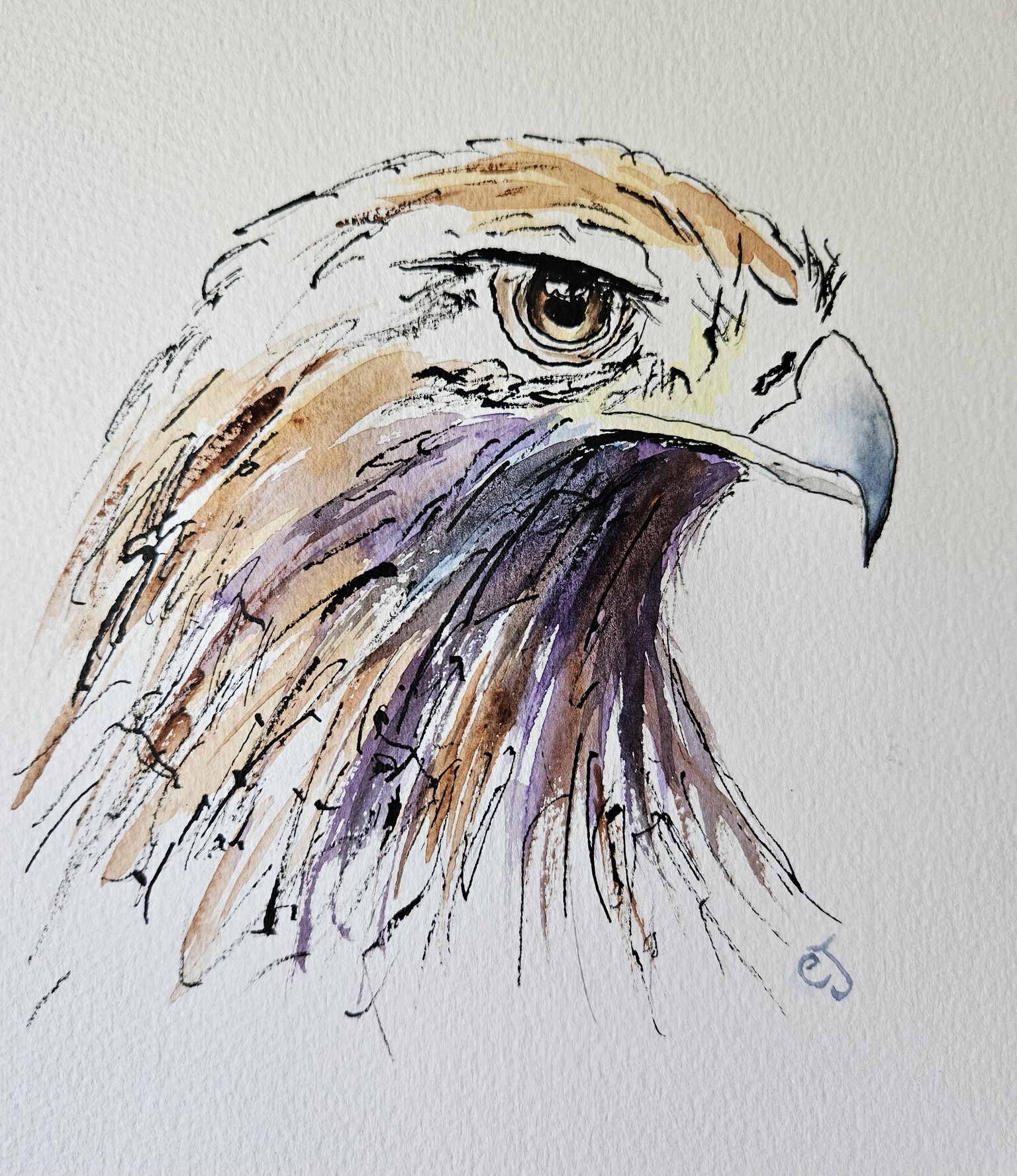 Ink watercolor eagle - image 1 - student project