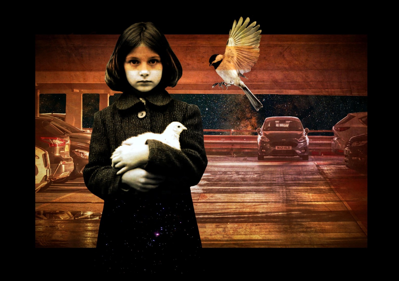 My collages - image 4 - student project