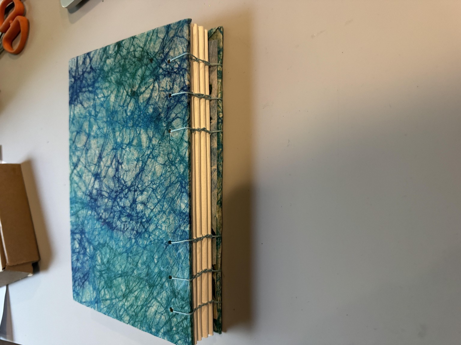 Bare Spine Beauty Journal - image 1 - student project