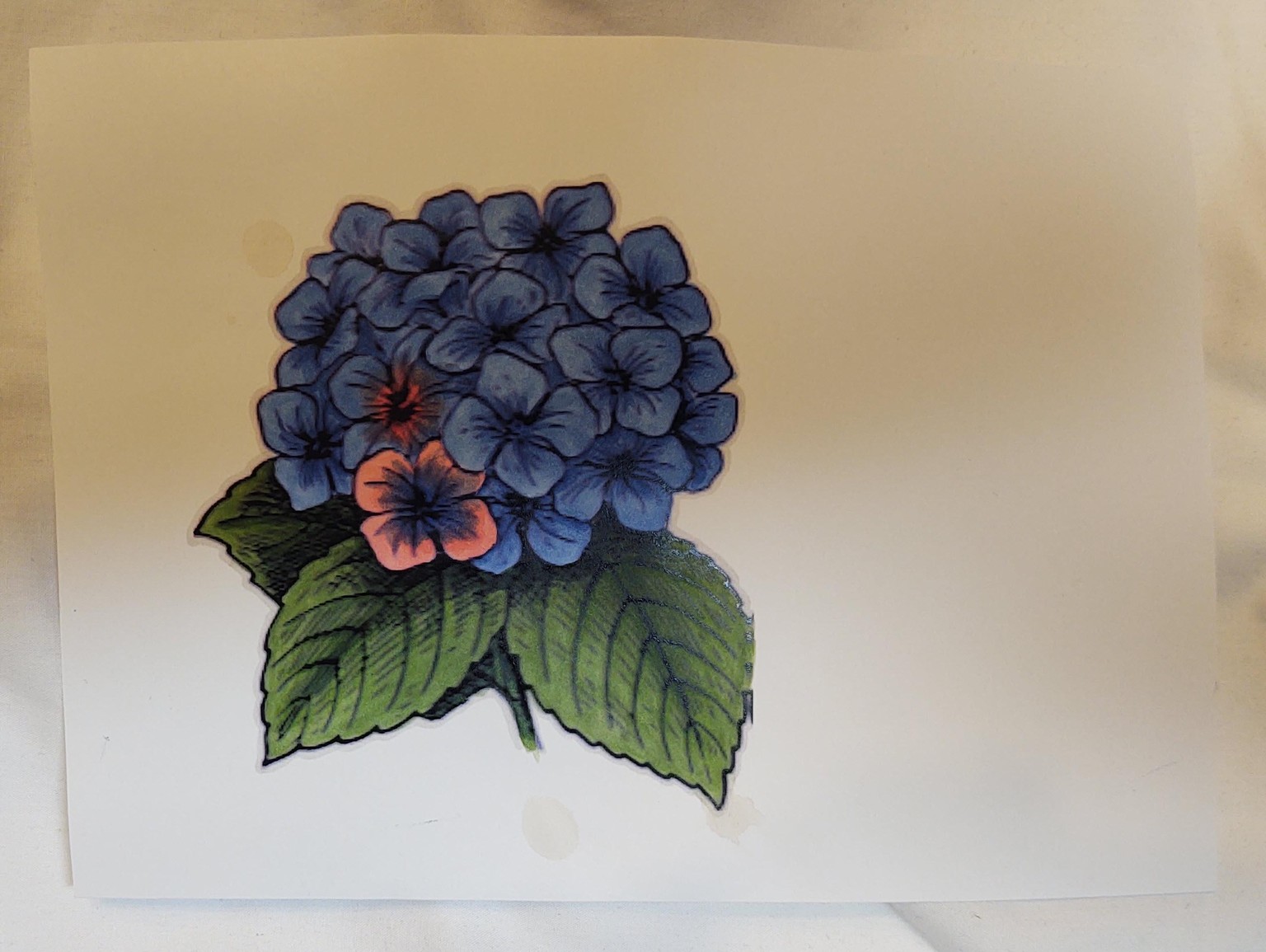 Copic Colored Images - image 2 - student project
