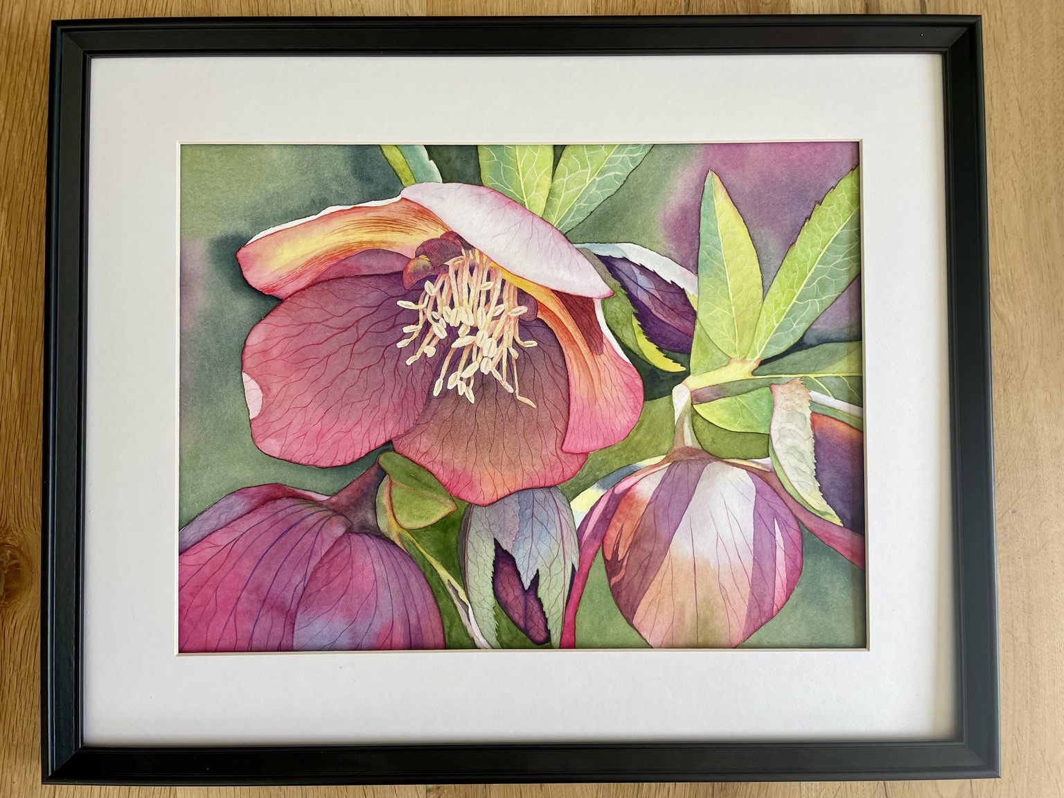 Watercolor Hellebore - image 1 - student project