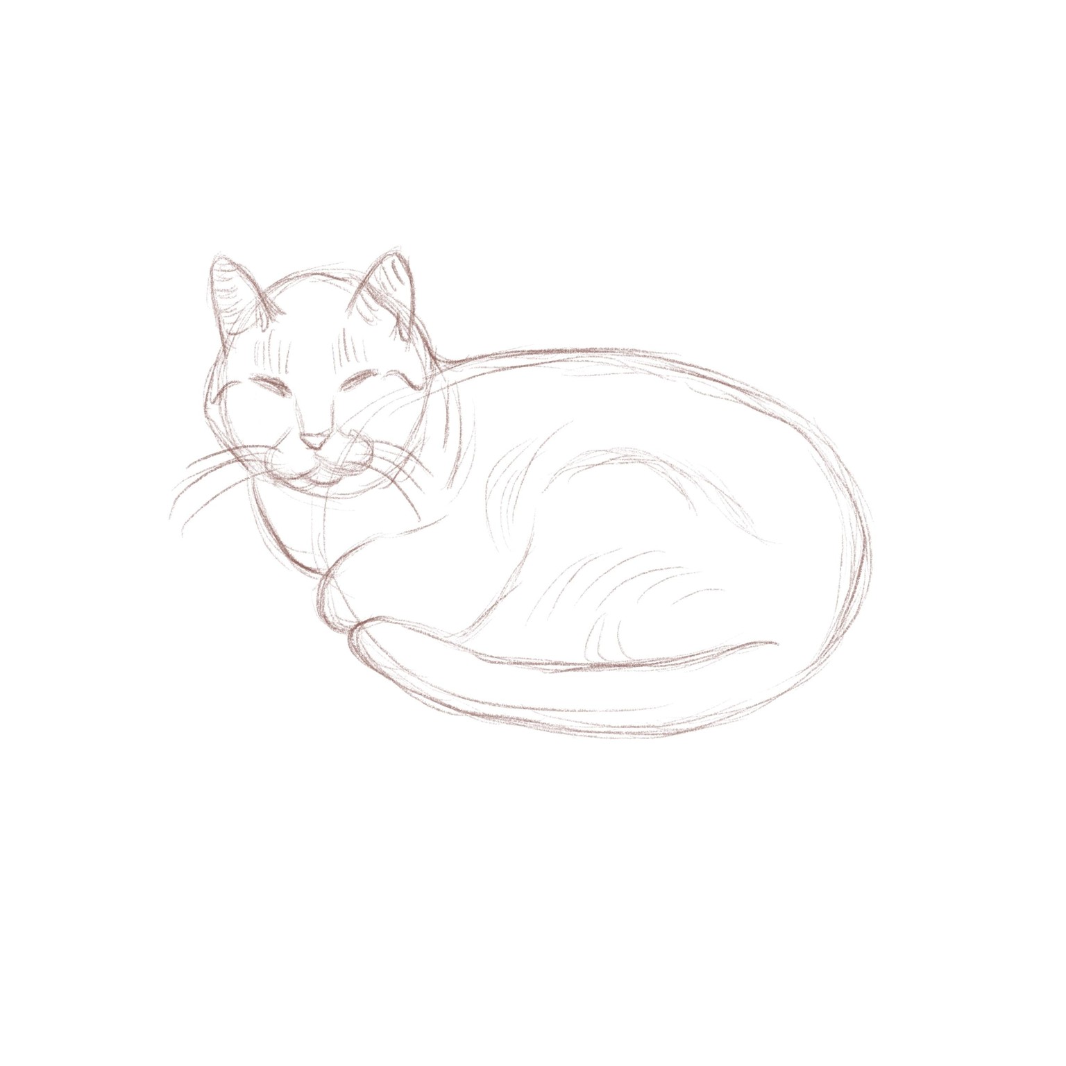 Cat Gesture Drawing - image 1 - student project