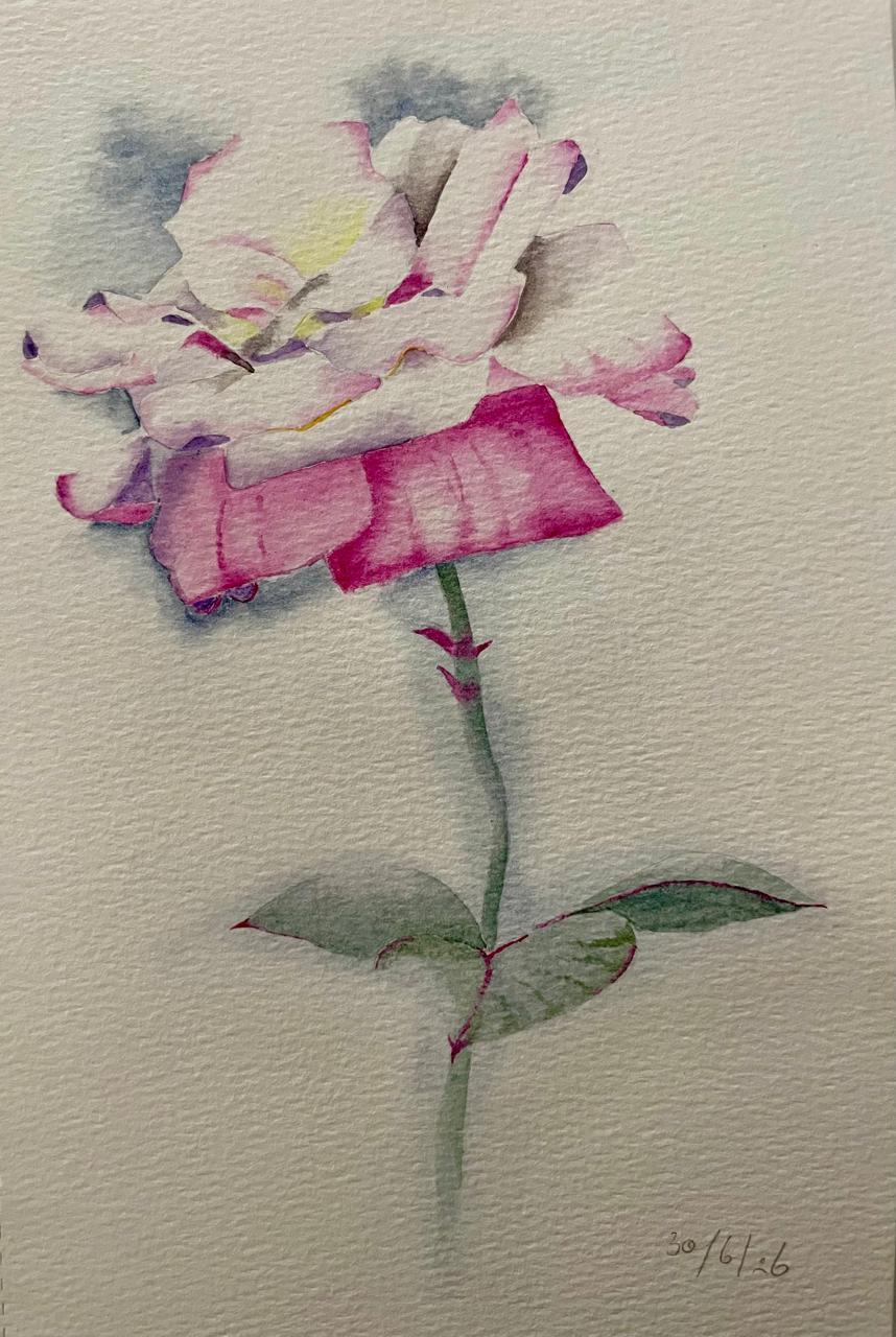 Rose with lost edges - image 1 - student project