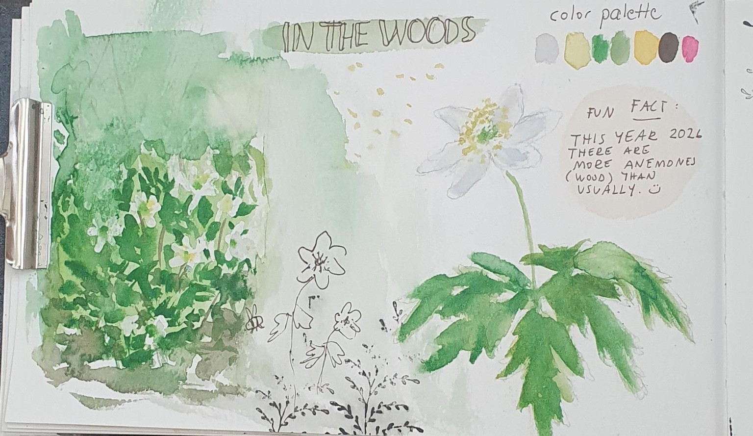 Nature journaling :))) - image 2 - student project