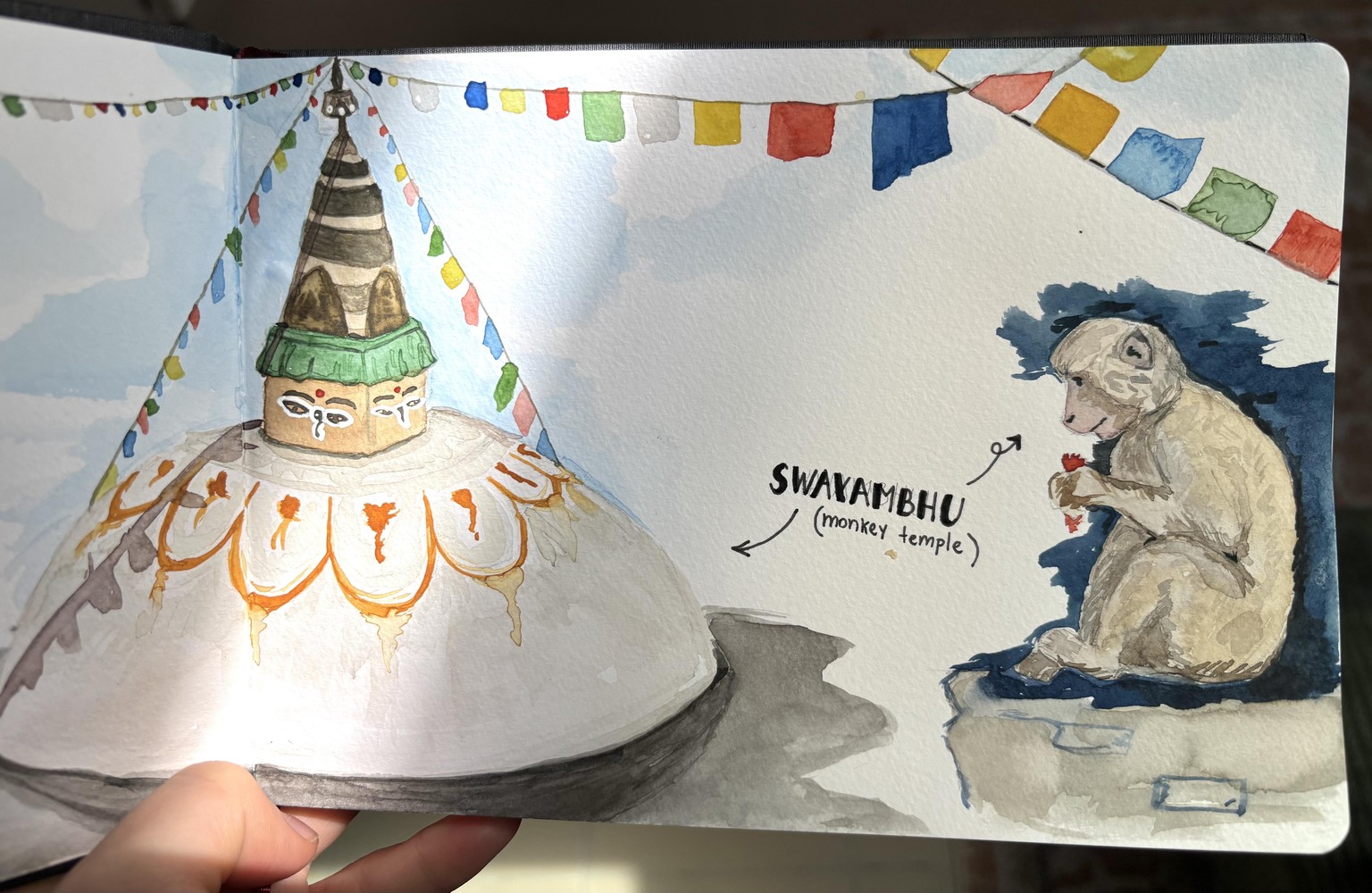 Natura Illustrata Project: My Kathmandu version - image 3 - student project