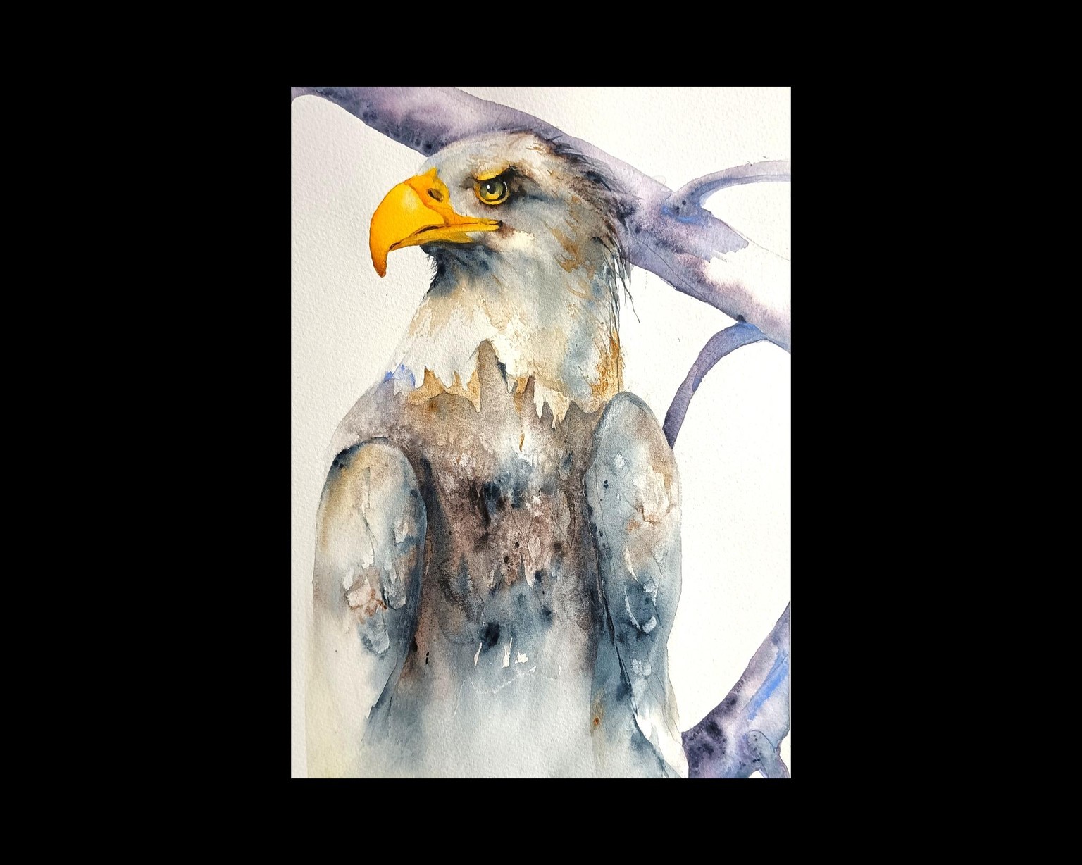 Aquarell - Eagle đŠ
- image 1 - student project