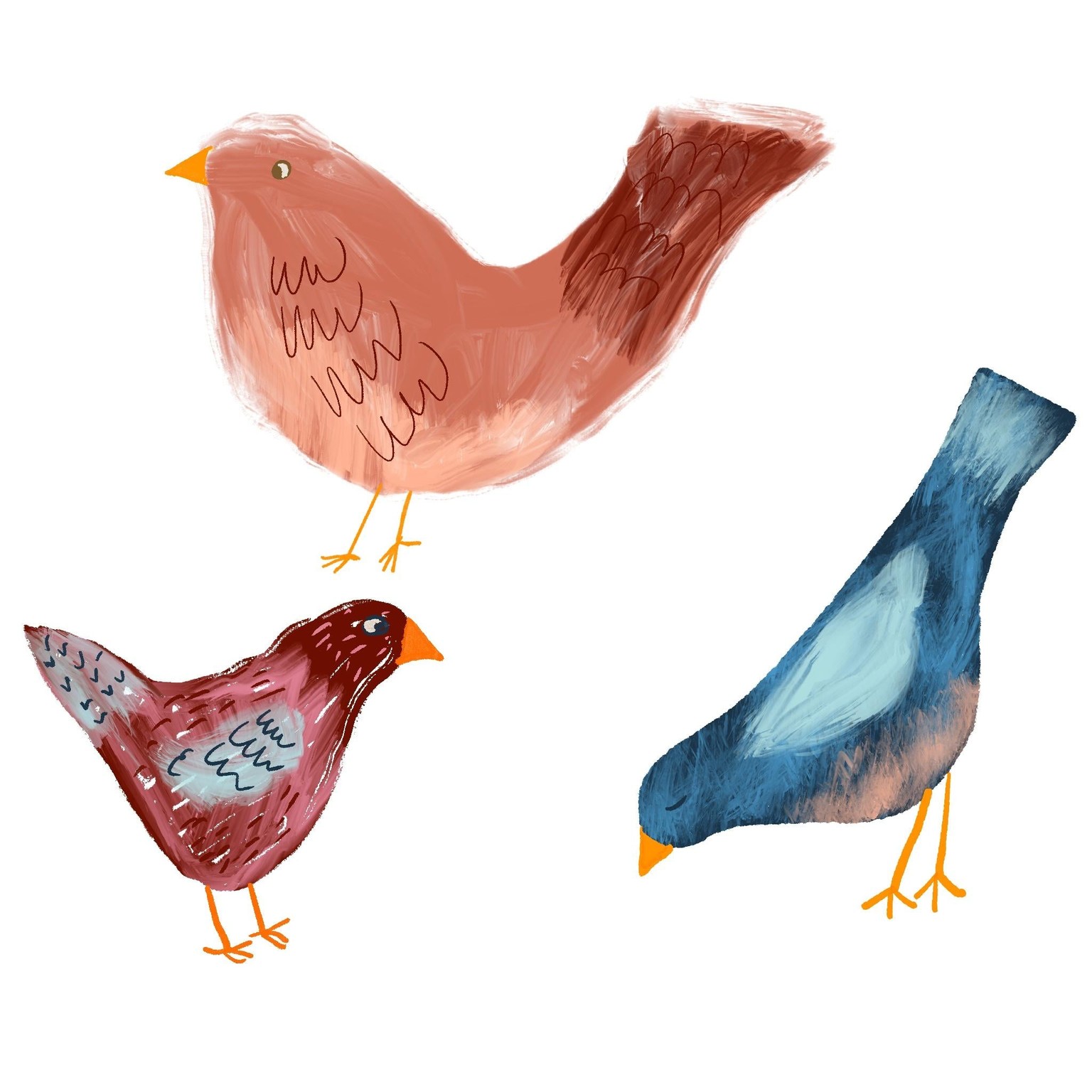 Inky birds - image 1 - student project