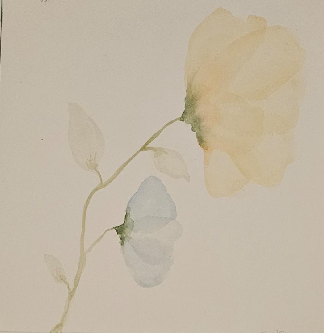 Gentle Blooms - image 2 - student project