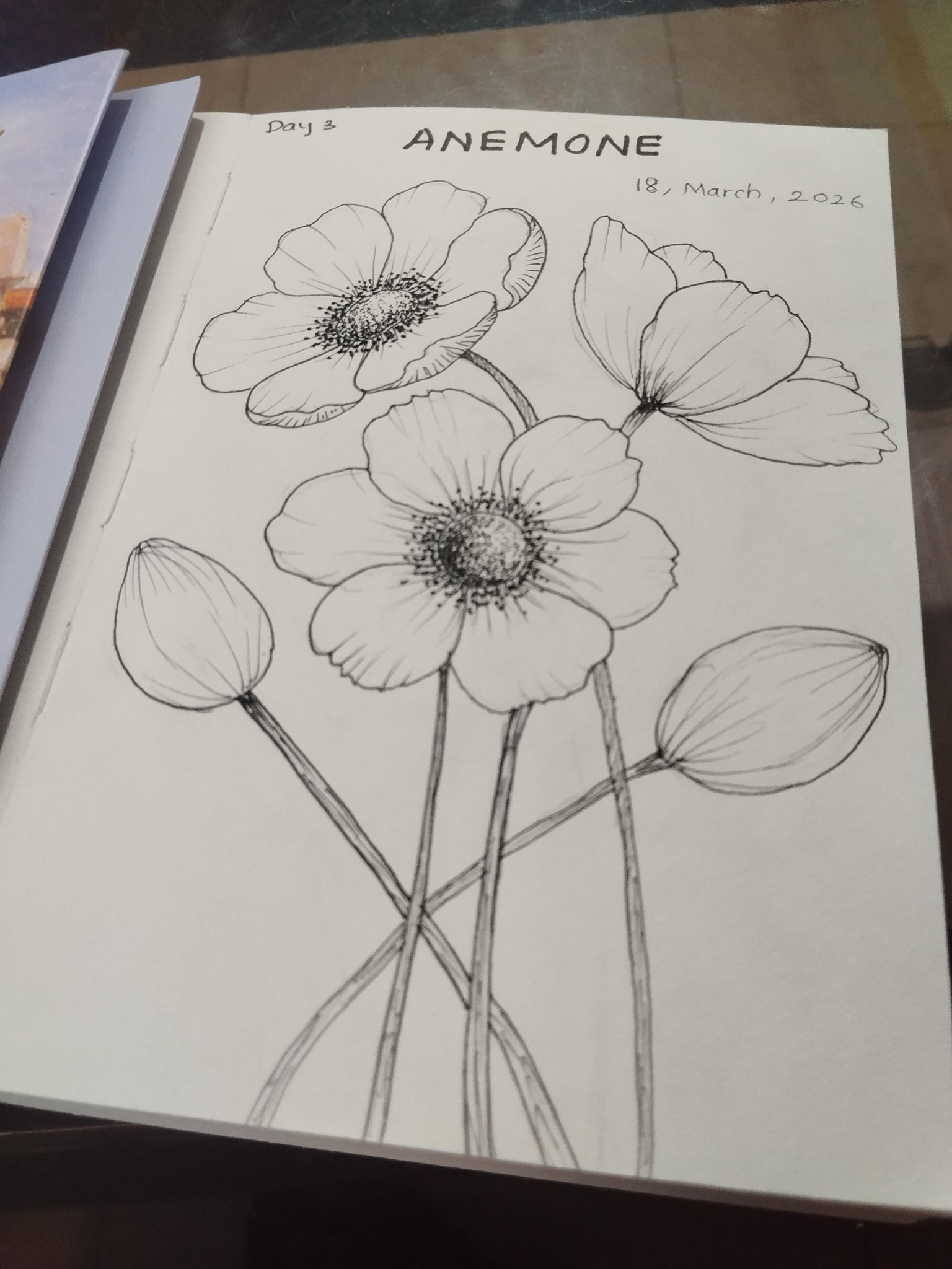 My first project - image 8 - student project