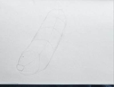 Banana perspectives - image 3 - student project