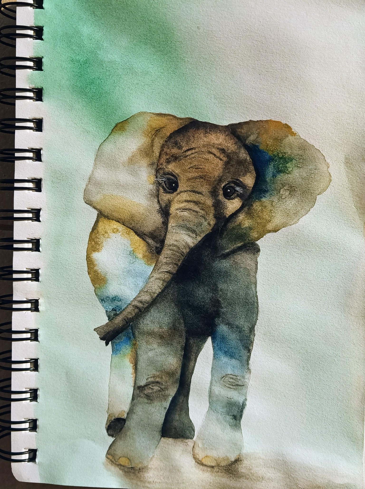 My try with Mr. Elephant - image 1 - student project