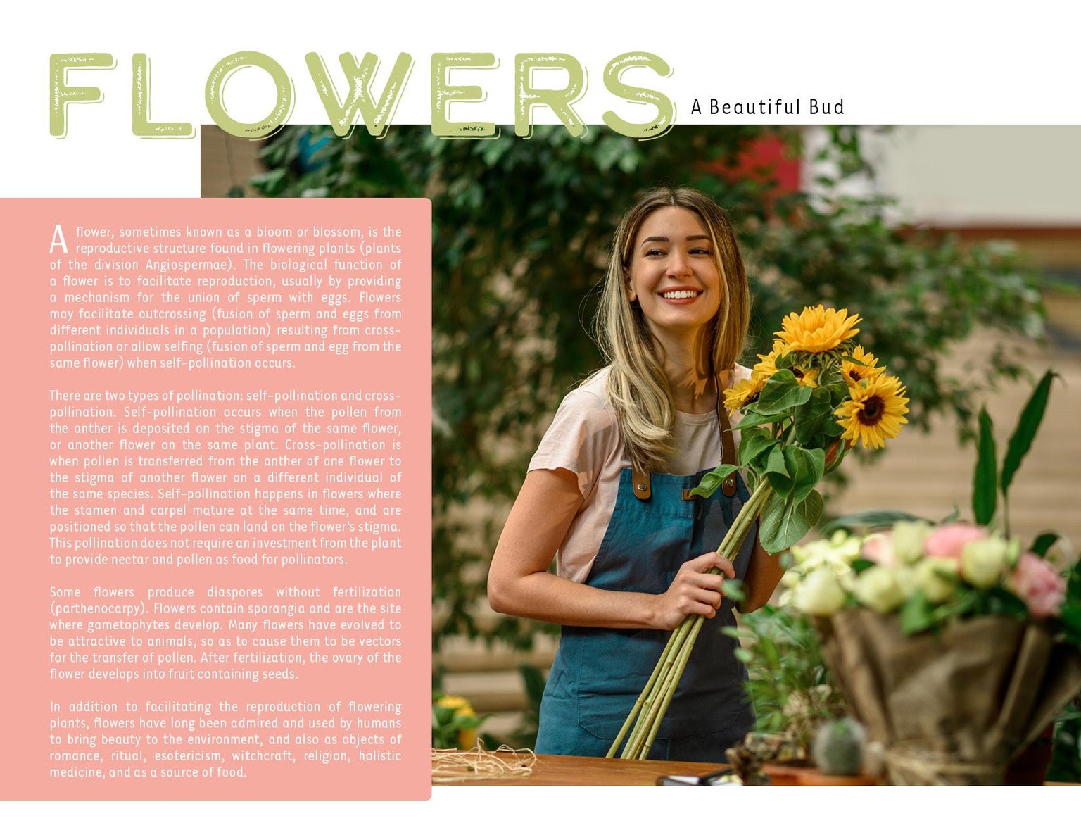Flowers Spread Variations - image 2 - student project