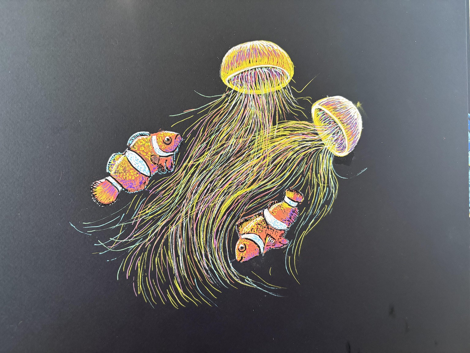 Clown and Jellyfish - image 1 - student project