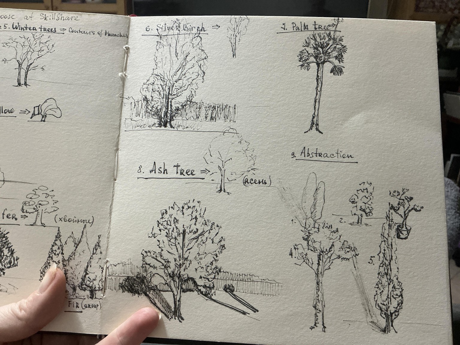 Trees - image 2 - student project