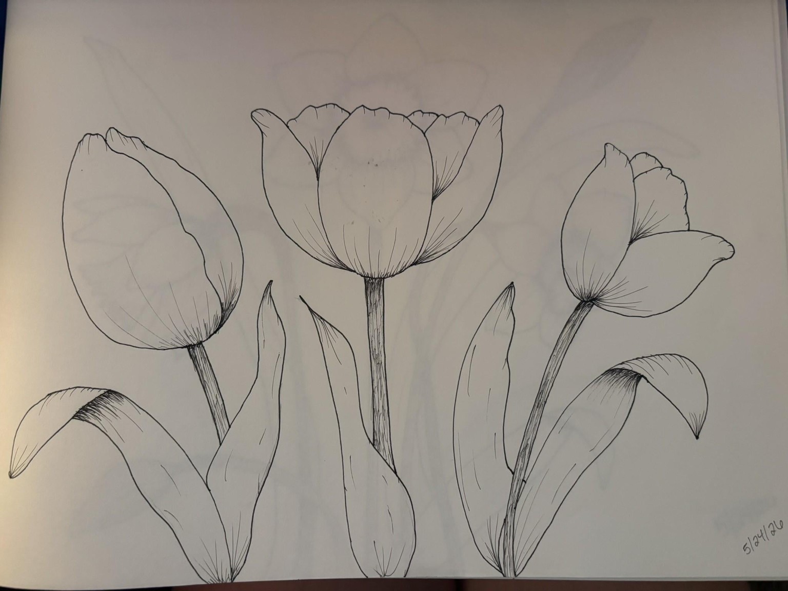 Flower Drawings - image 5 - student project