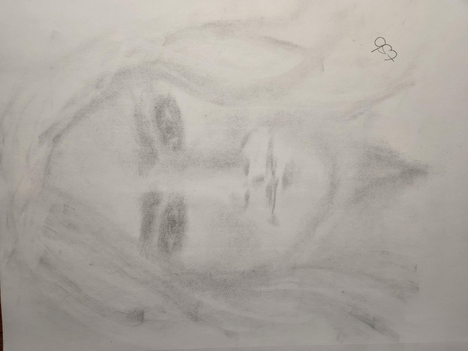 Charcoal with Jerney - image 1 - student project