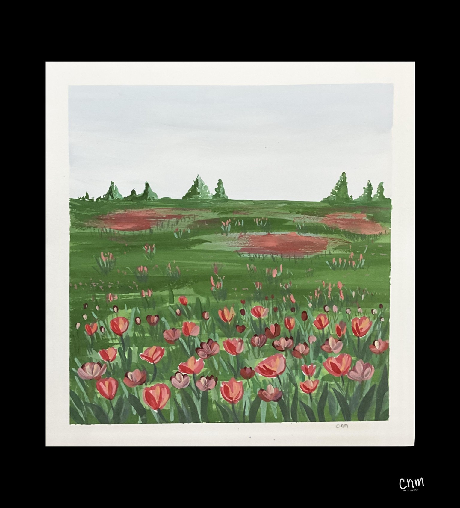 Field of flowers - image 1 - student project
