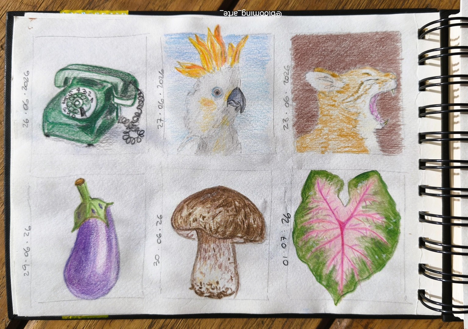 5 Minute Sketches: Colored Pencil Thumbnails for Better Paintings - image 2 - student project