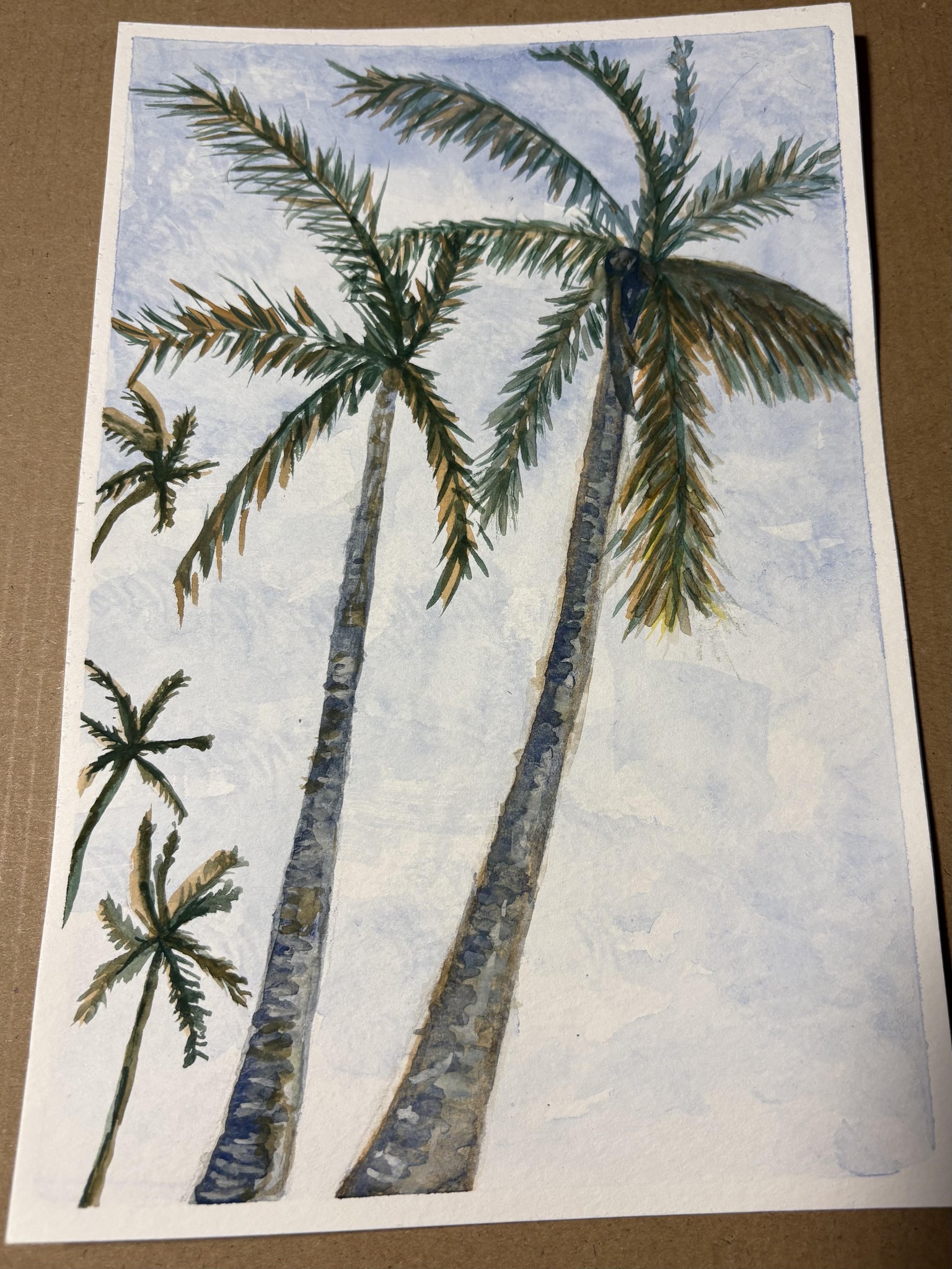 Palm Trees in Chokoloskee - image 1 - student project