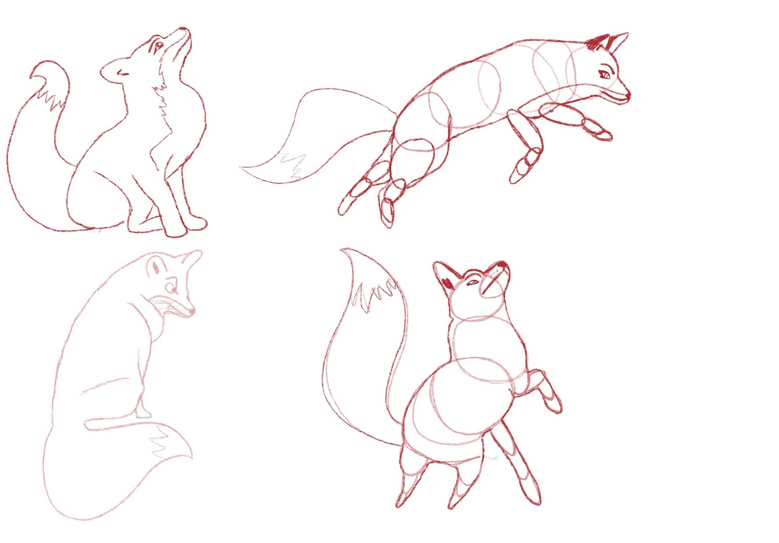 Whimsical Fox - image 1 - student project