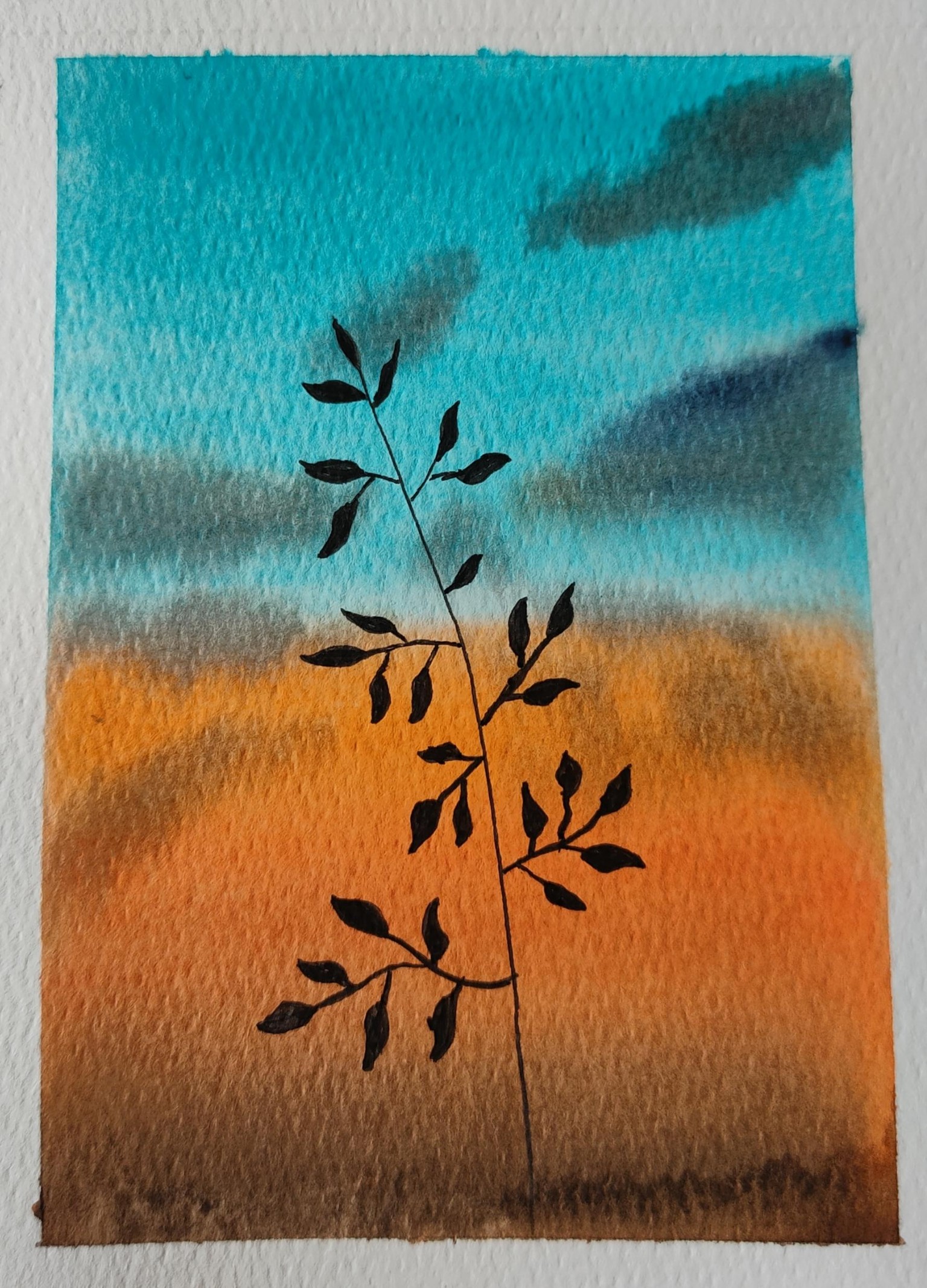 Sunsets - image 3 - student project