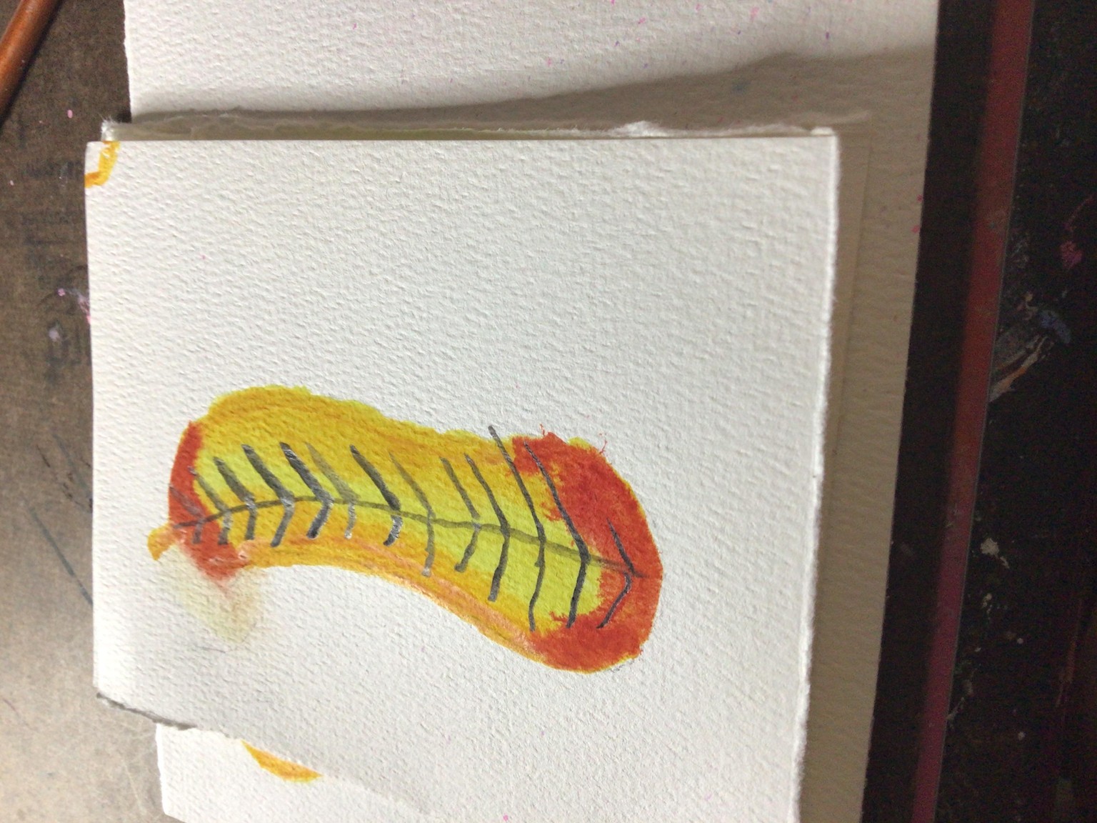 A beginners guide to watercolor - image 1 - student project