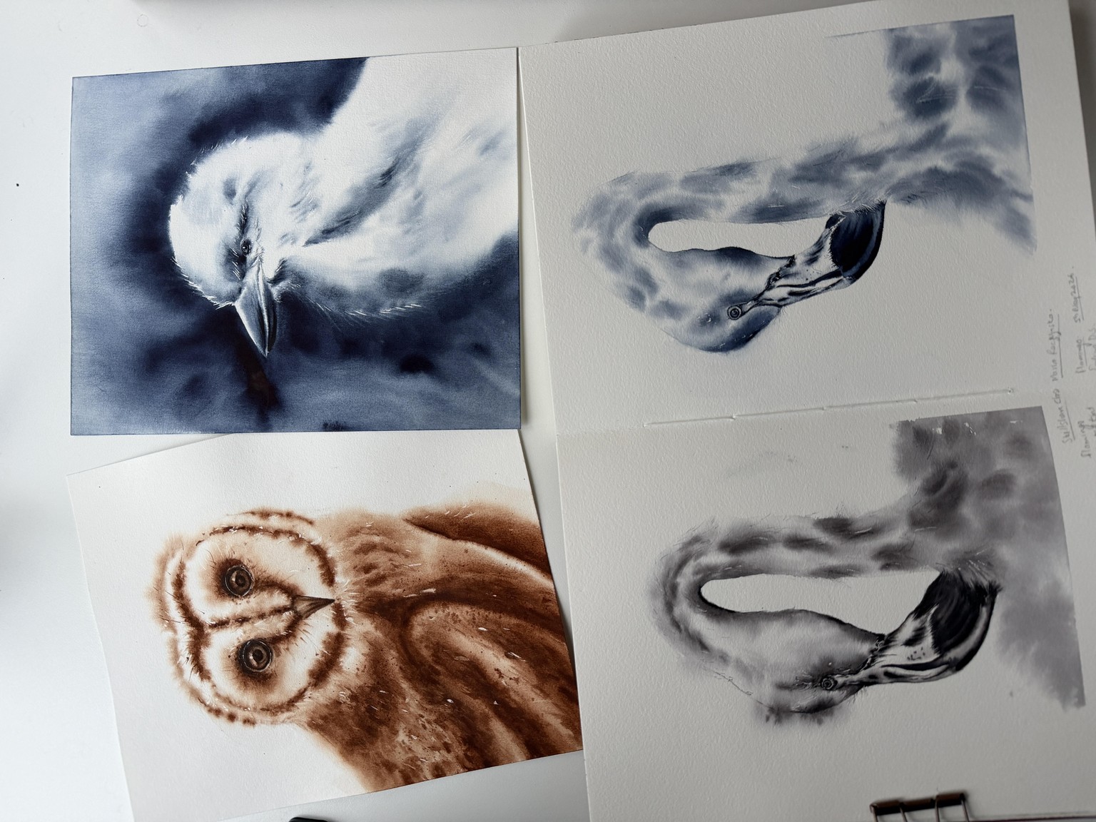 Painting birds in Monochrome - The magic of single color - image 4 - student project