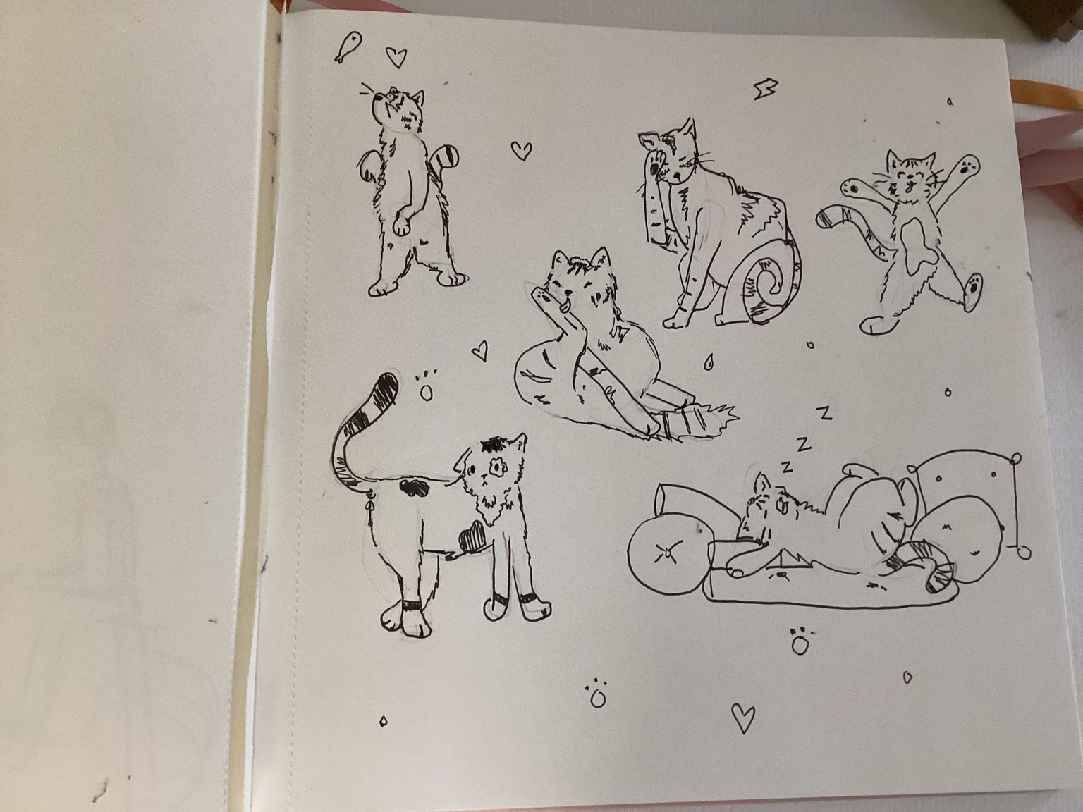 My kitty cats! - image 1 - student project